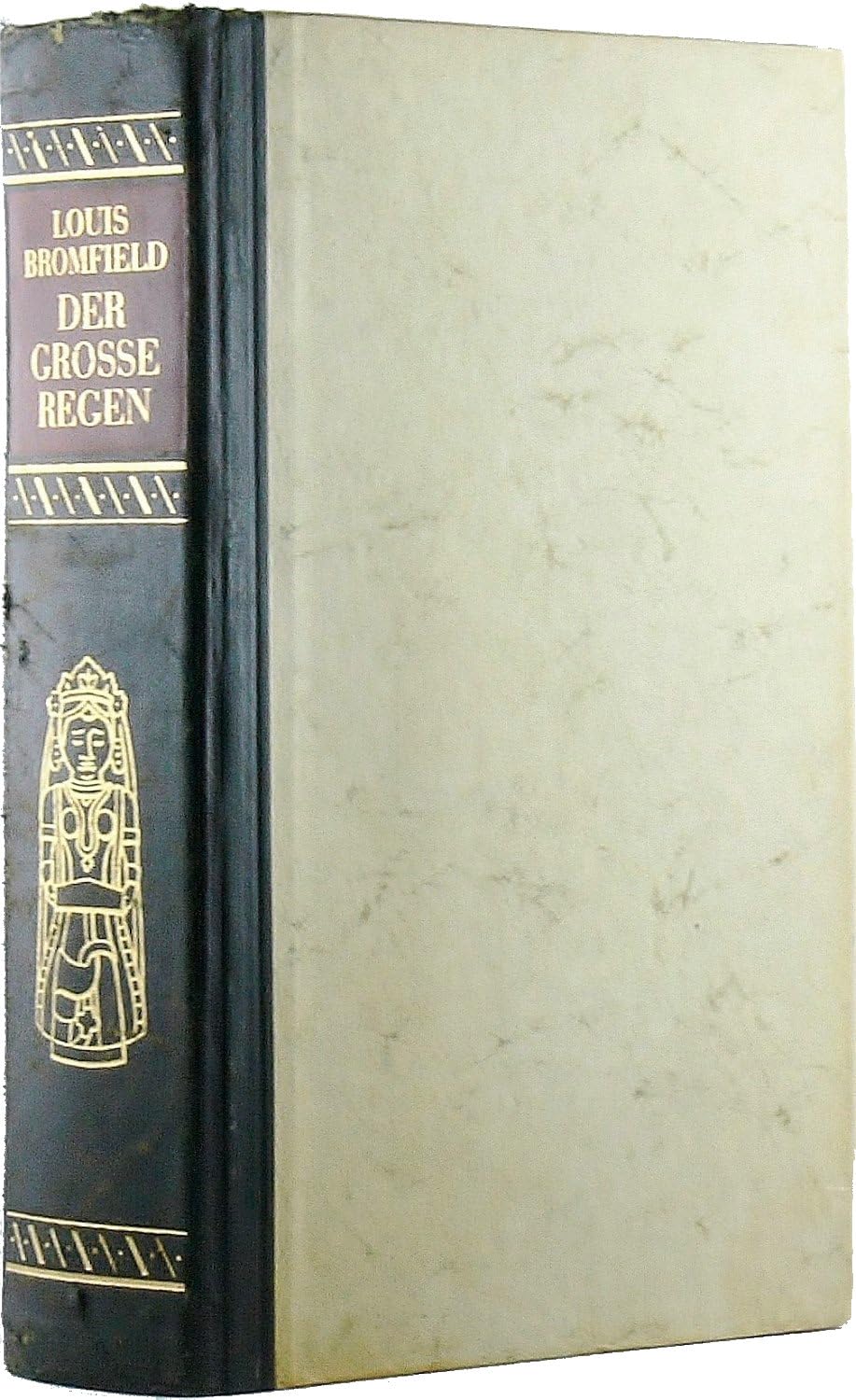Der große Regen Contemporary literature Books