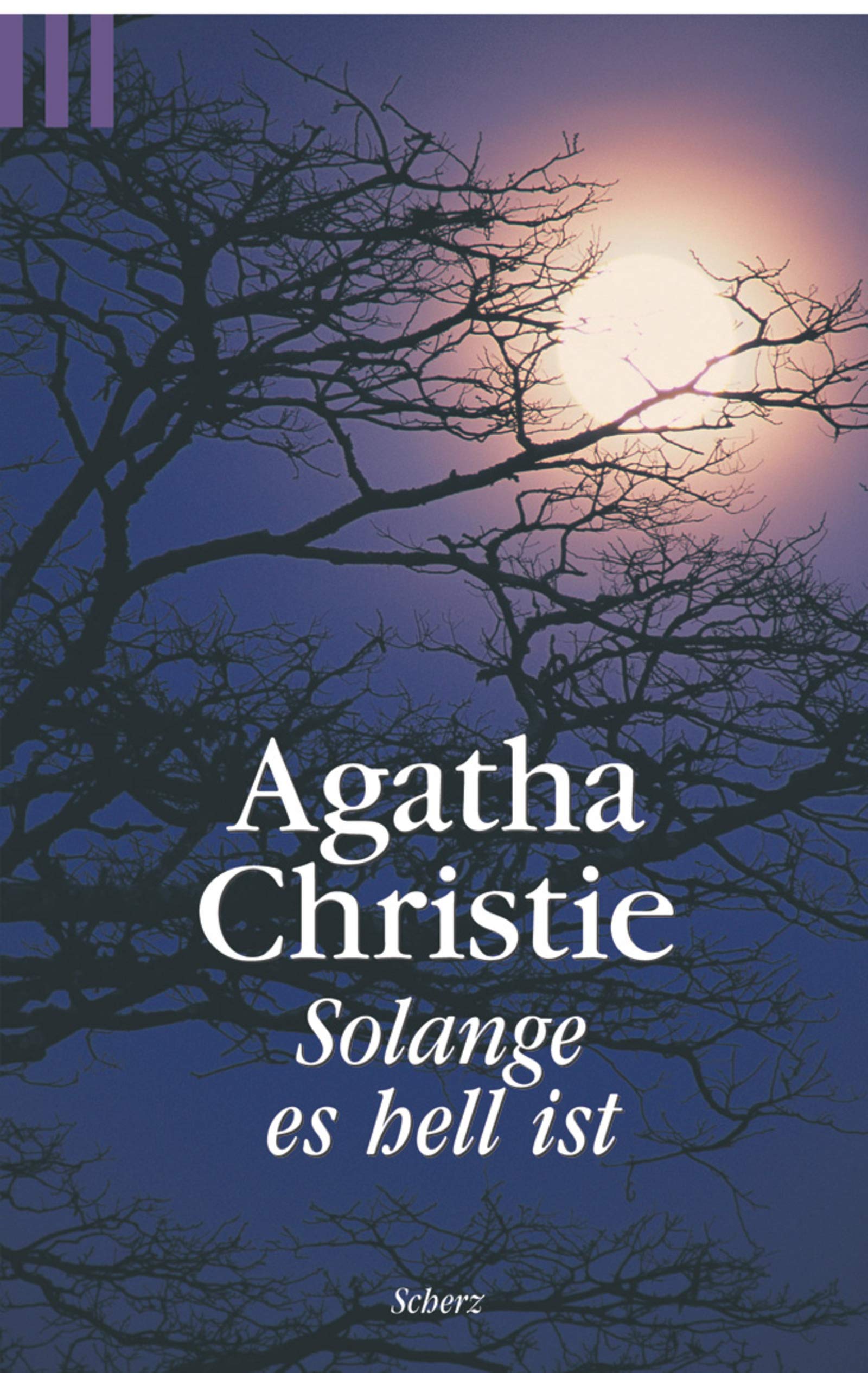 Solange es hell ist (Scherz Krimi) Contemporary literature