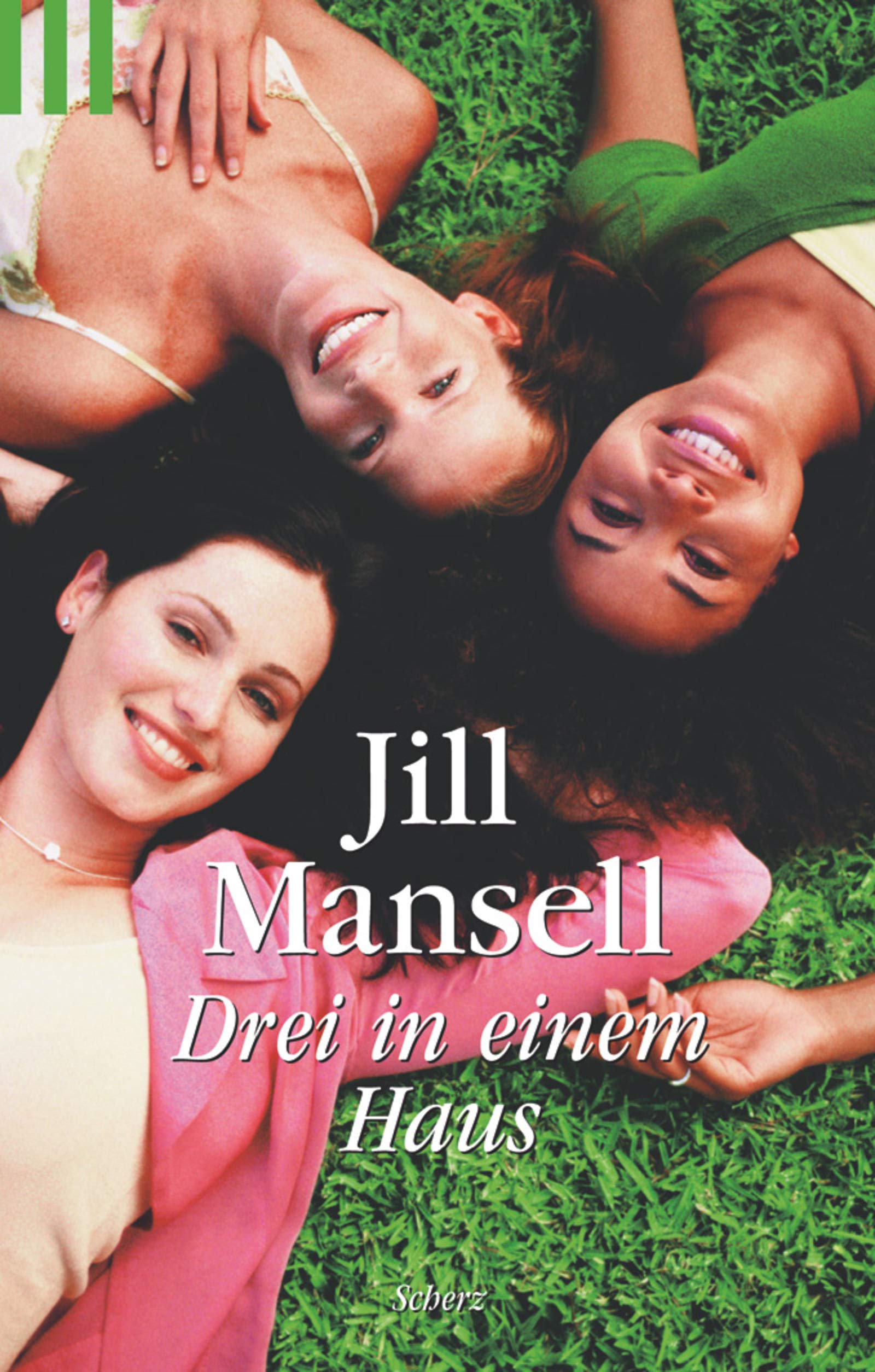 Drei in einem Haus: Roman (Scherz Taschenbuch allgemein) Contemporary literature