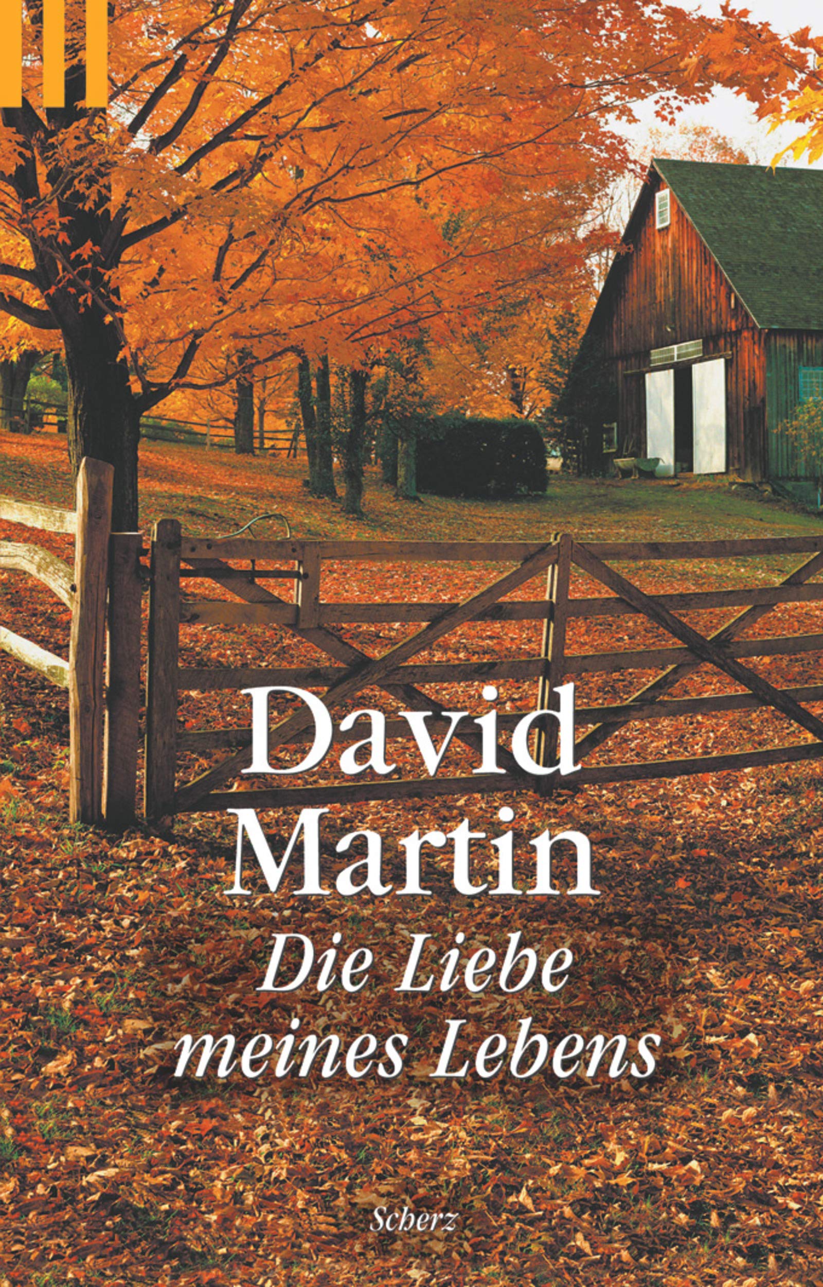 Die Liebe meines Lebens (Scherz Taschenbuch allgemein) Contemporary literature