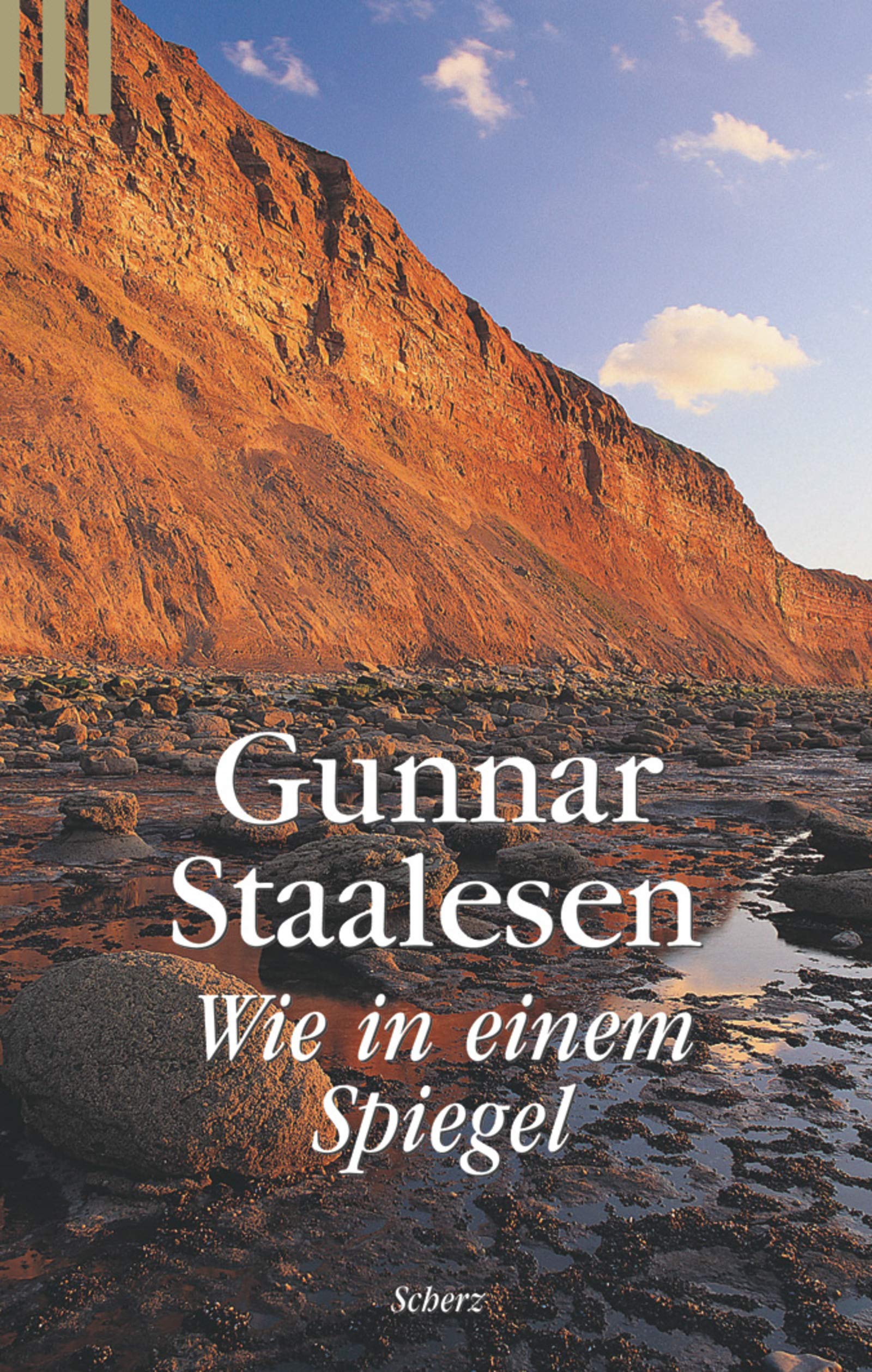 Wie in einem Spiegel: Krimi (Scherz Taschenbuch allgemein) Contemporary literature