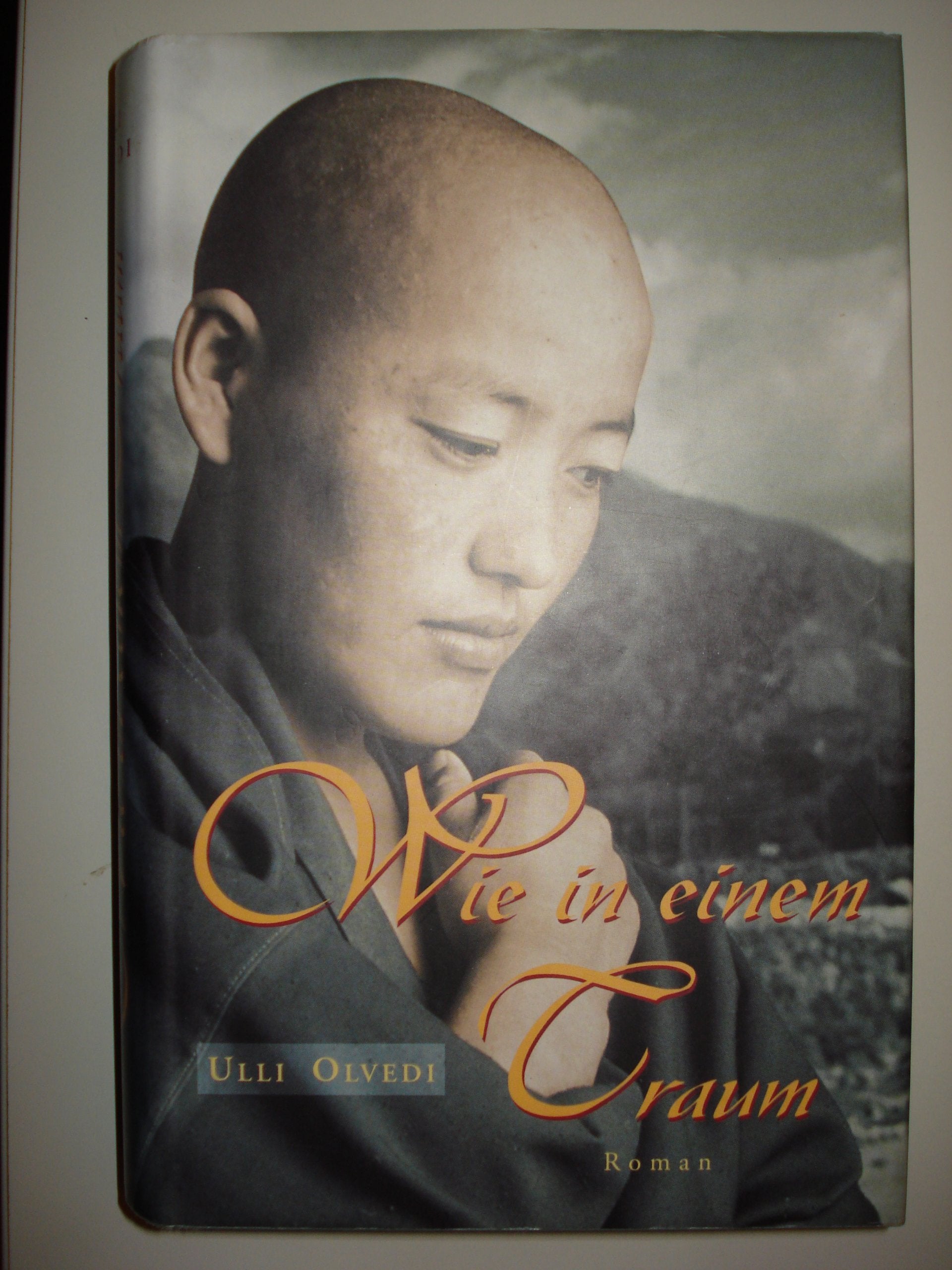 Wie in einem Traum: Roman (O. W. Barth im Scherz Verlag) Contemporary literature