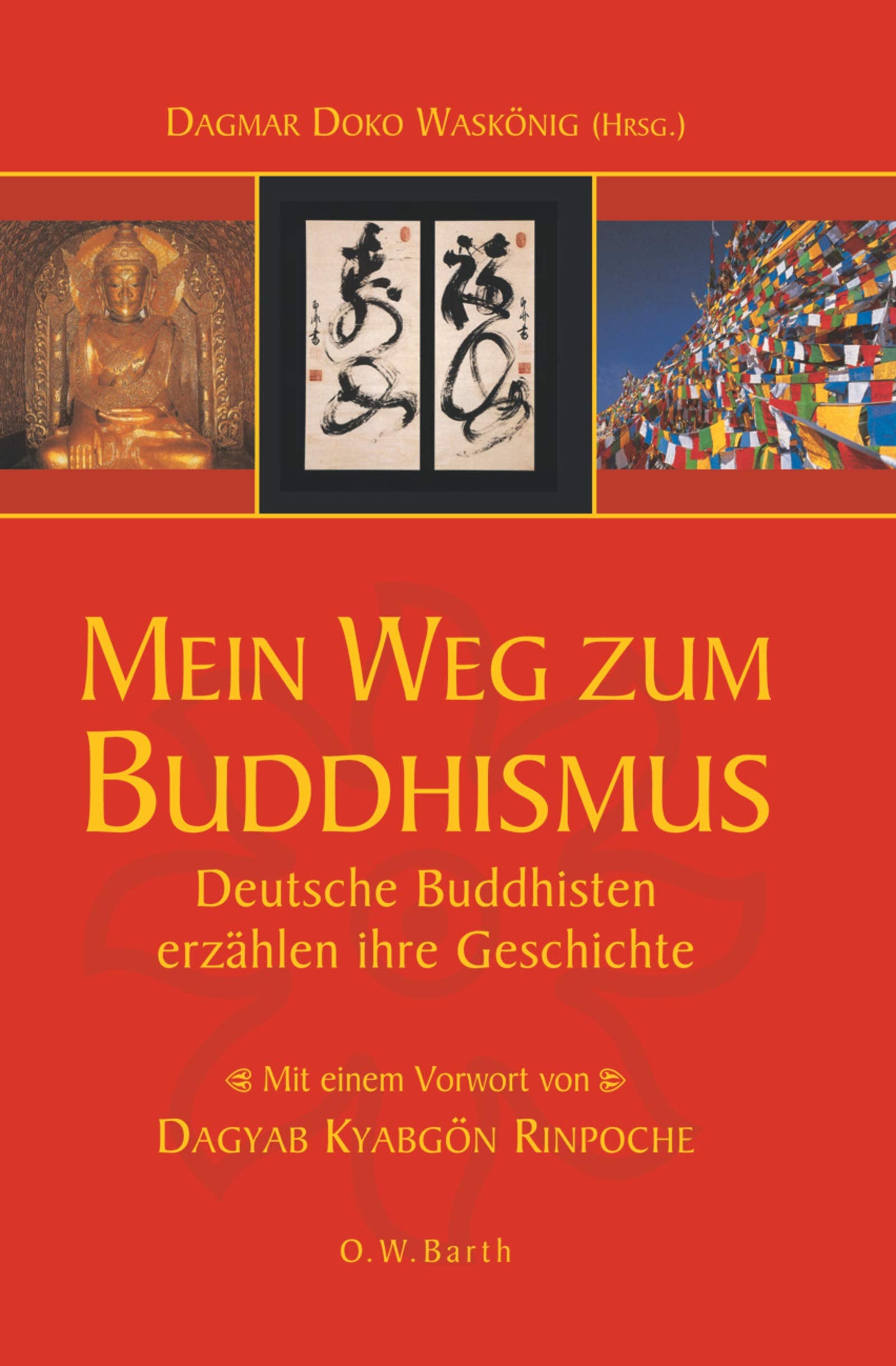 Mein Weg zum Buddhismus: Deutsche Buddhisten erzählen ihre Geschichte Books