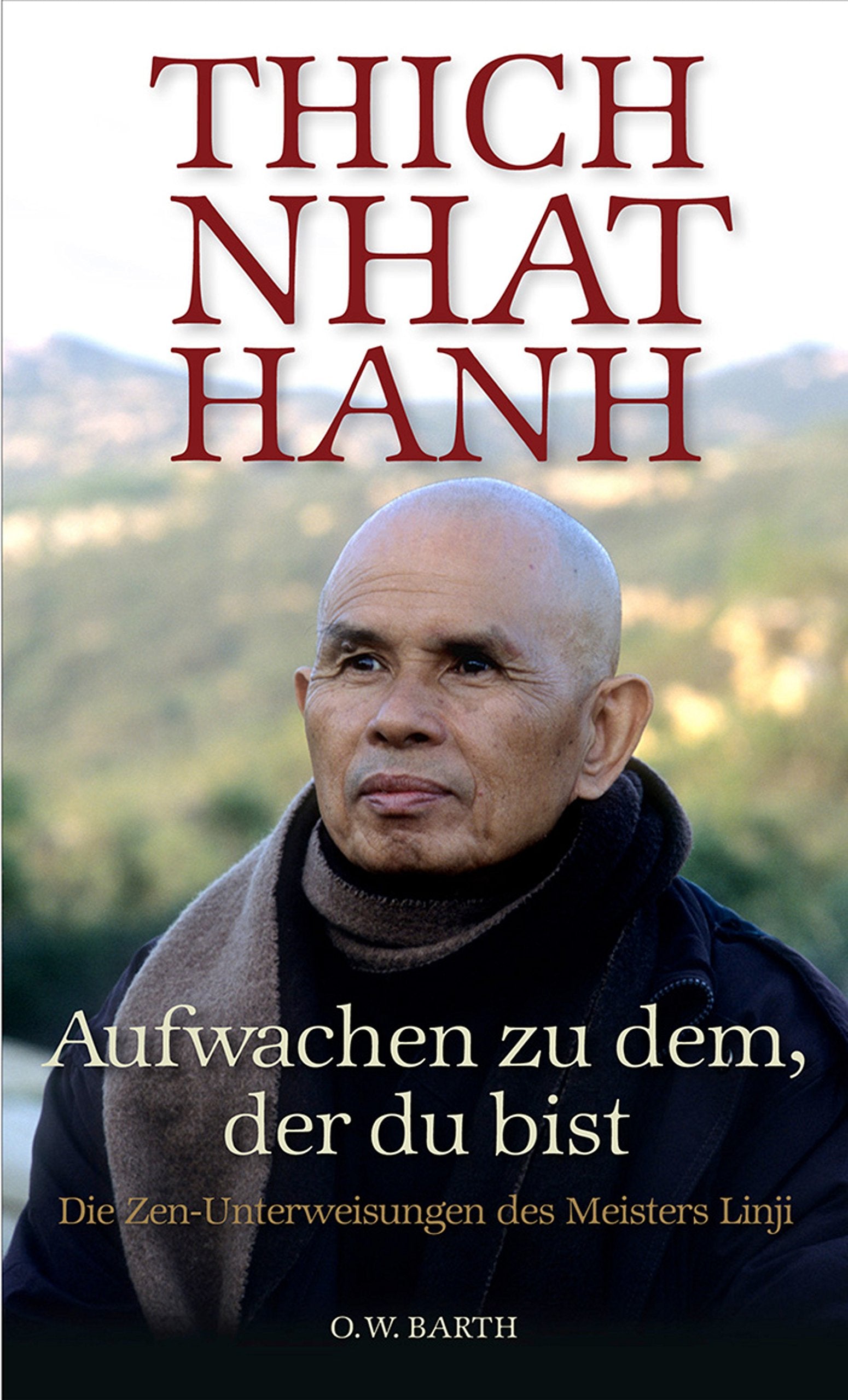 Aufwachen zu dem, der du bist: Die Zen-Unterweisungen des Meisters Linji Religion & Esotericism