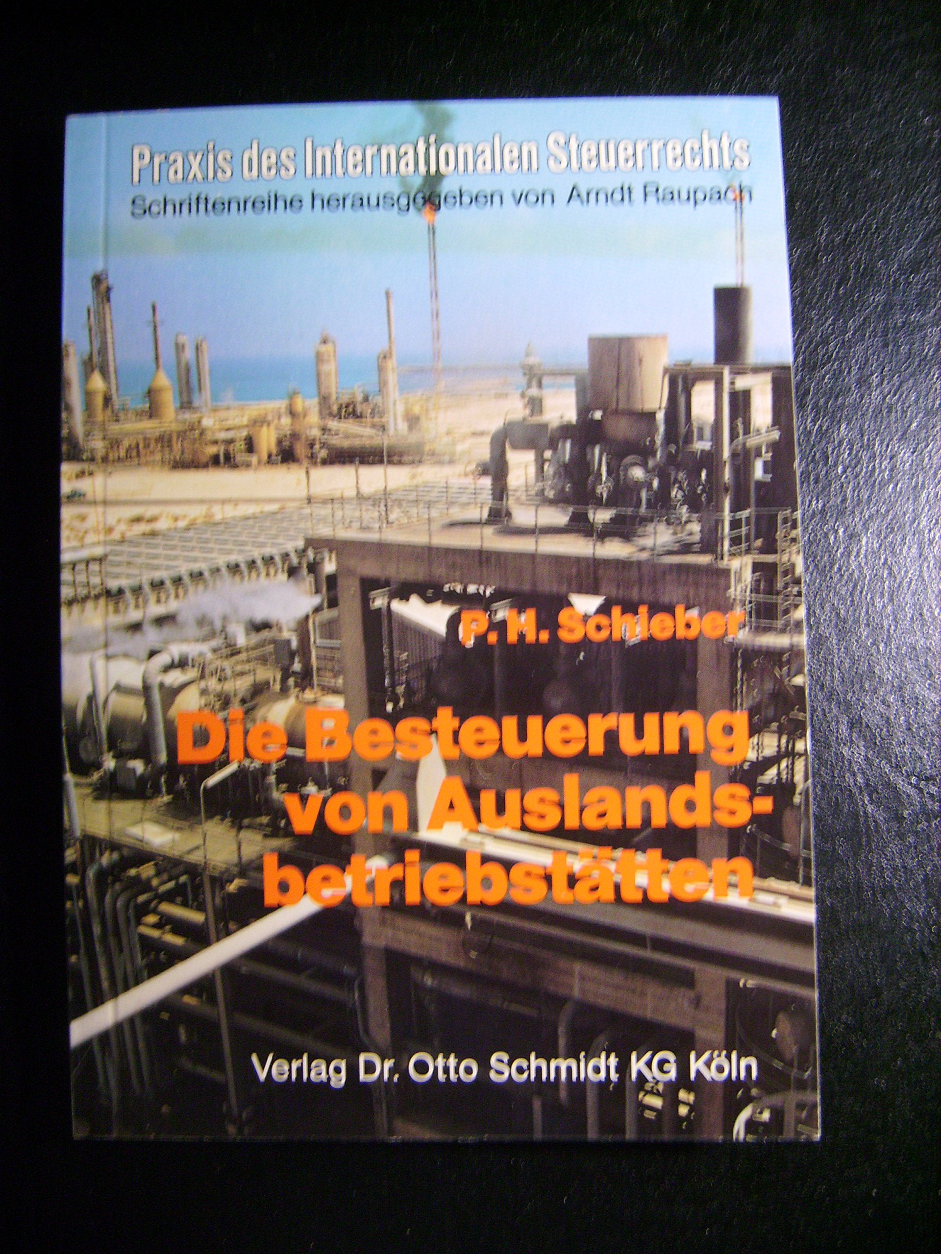 Die Besteuerung von Auslandsbetriebstätten: Grundfragen - Bauausführungen und Montagen - Personalabordnungen (Praxis des internationalen Steuerrechts) Business, Finance & Career