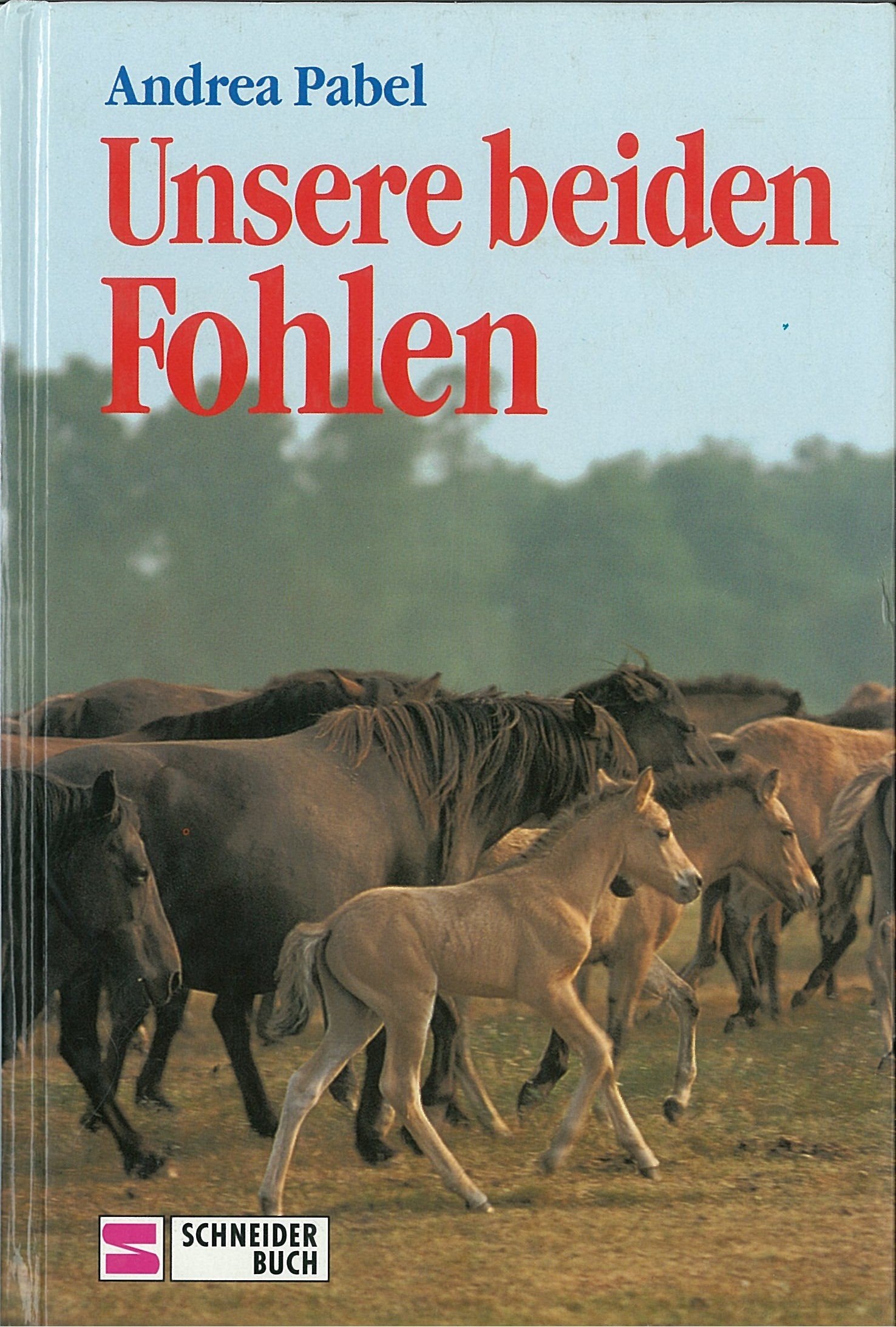 Product Image: Unsere beiden Fohlen