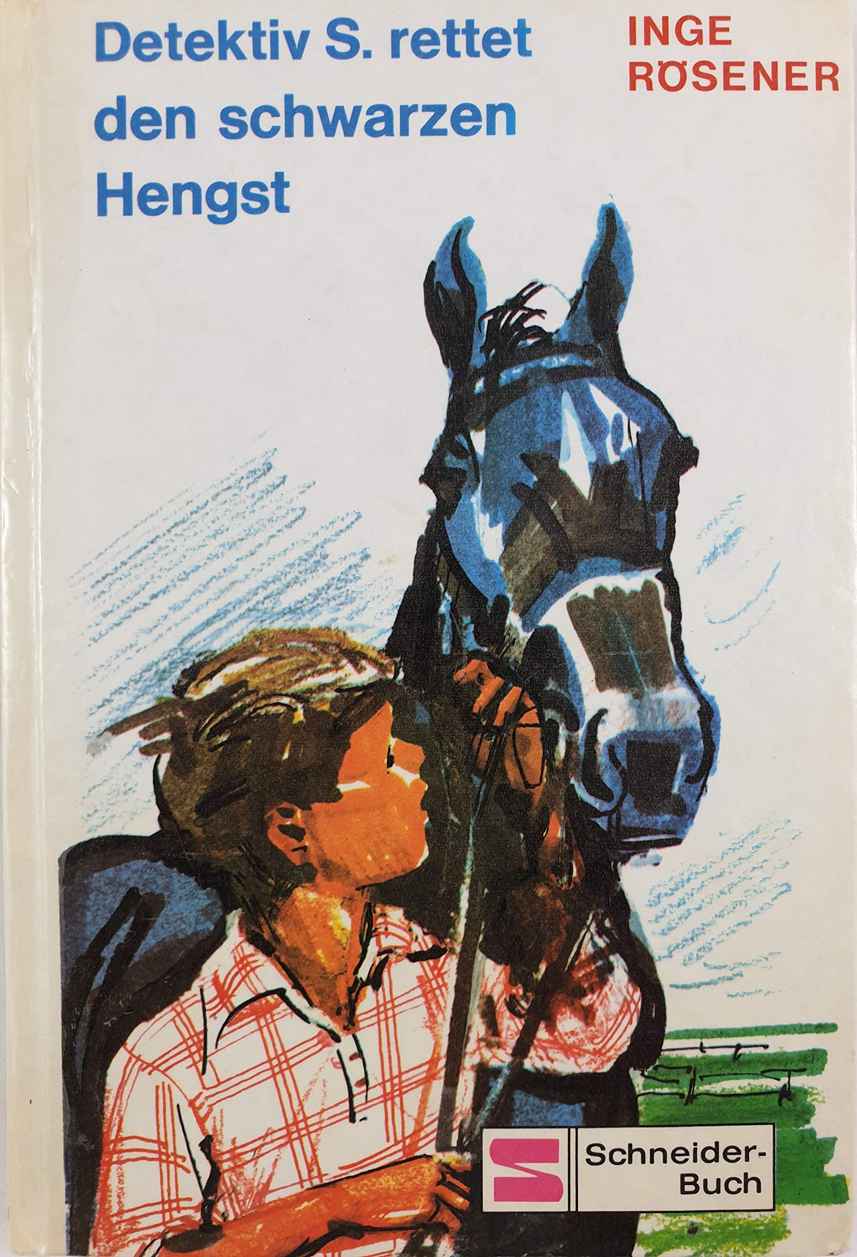 Detektiv S. rettet den schwarzen Hengst Books