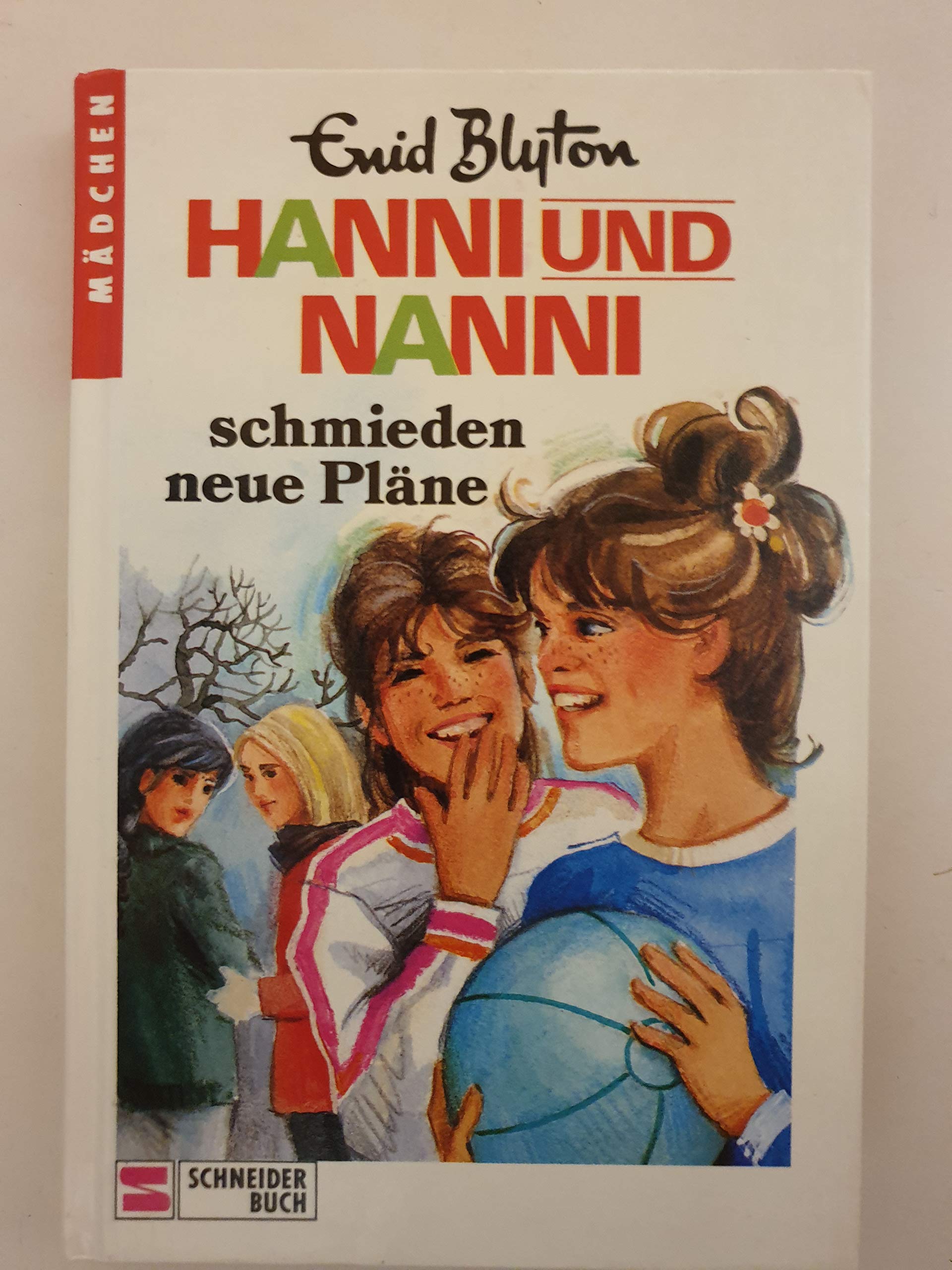 Hanni und Nanni schmieden neue Pläne - Band 2 book