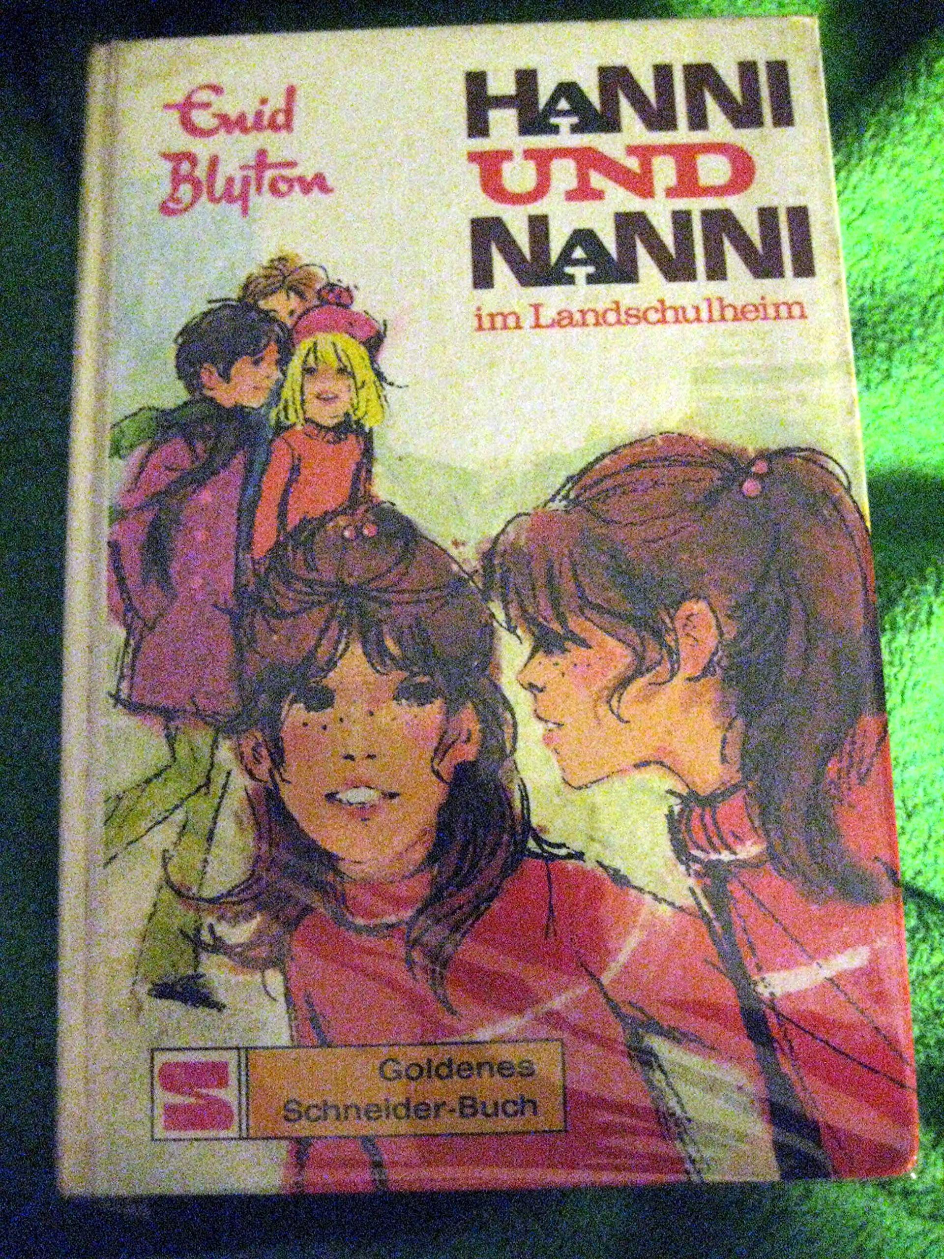 Hanni und Nanni im Landschulheim Books