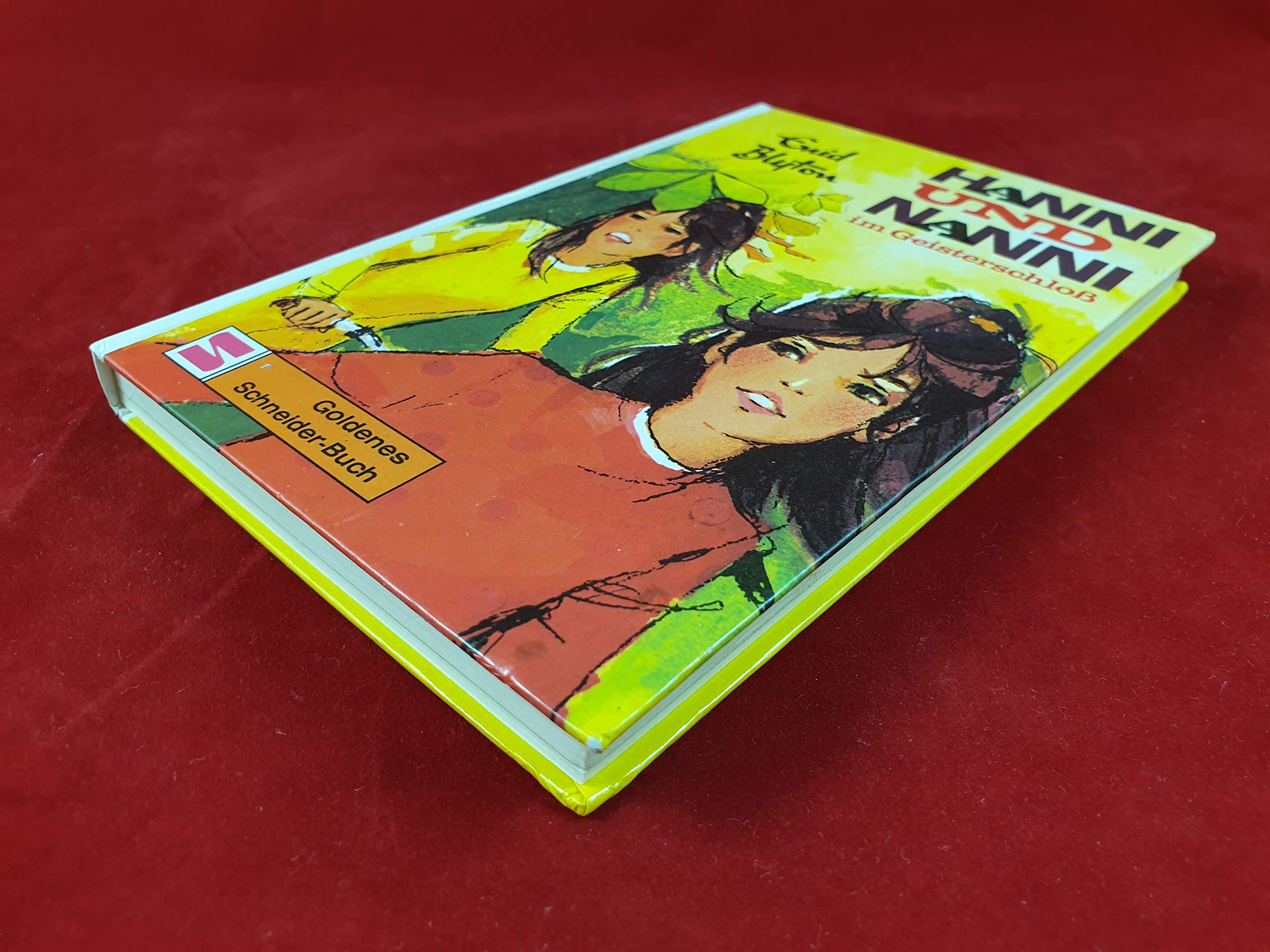 Hanni und Nanni im Geisterschloss Books