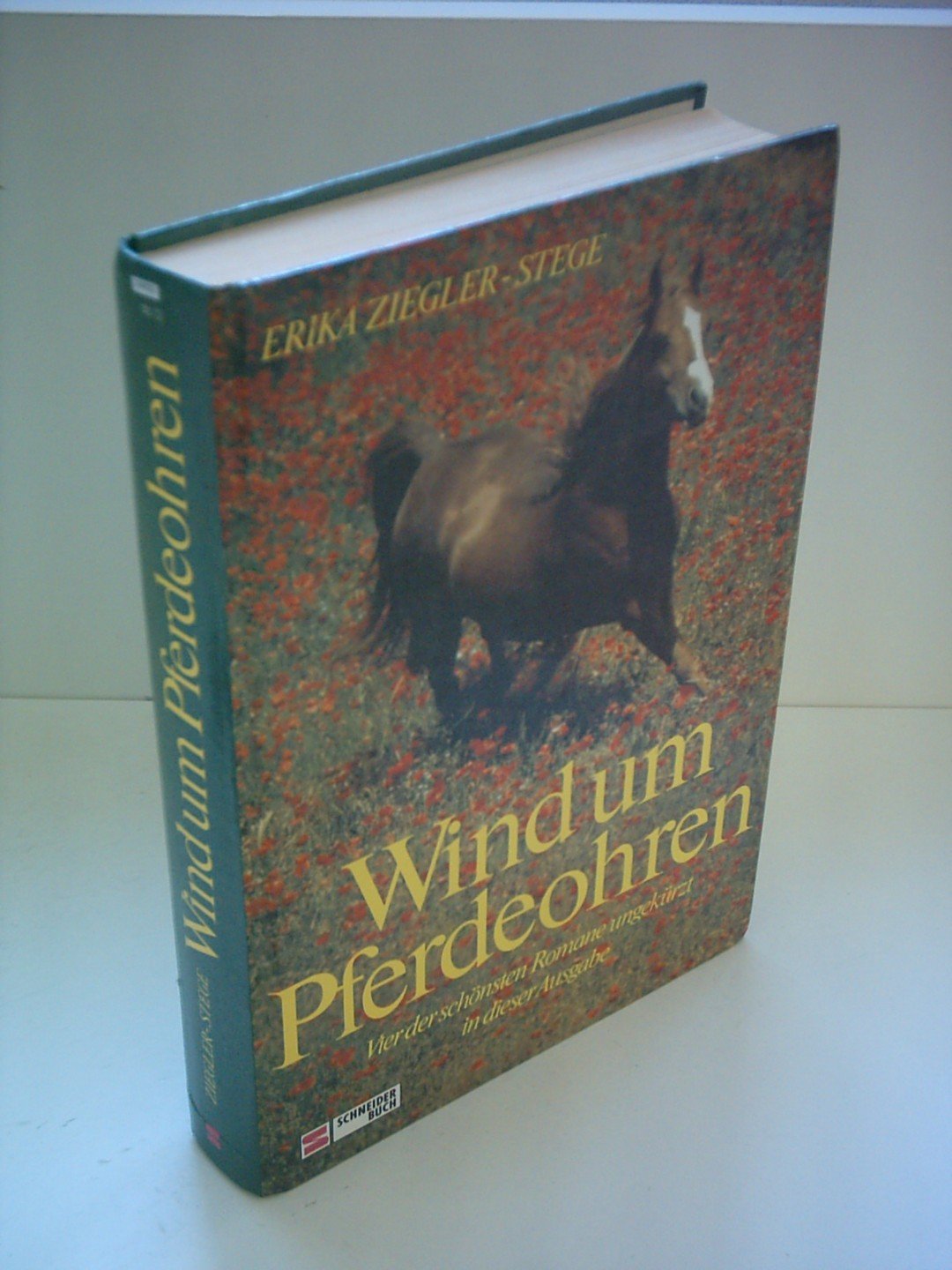 Wind um Pferdeohren Children's books