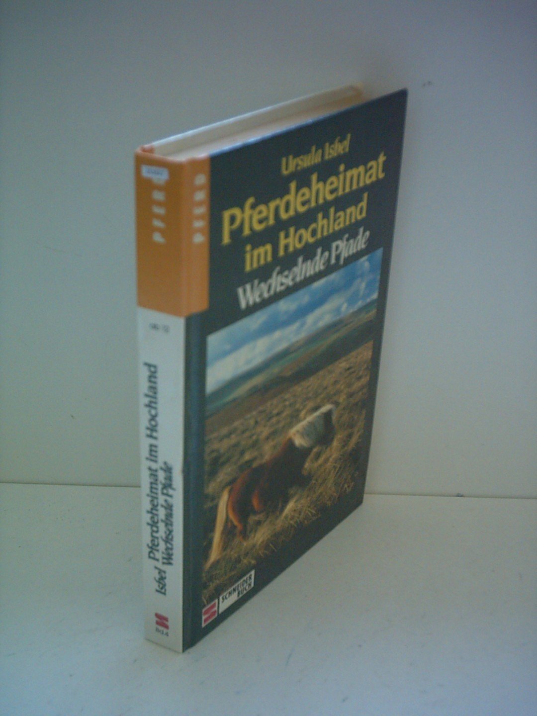 Pferdeheimat im Hochland, Bd.4, Wechselnde Pfade Books