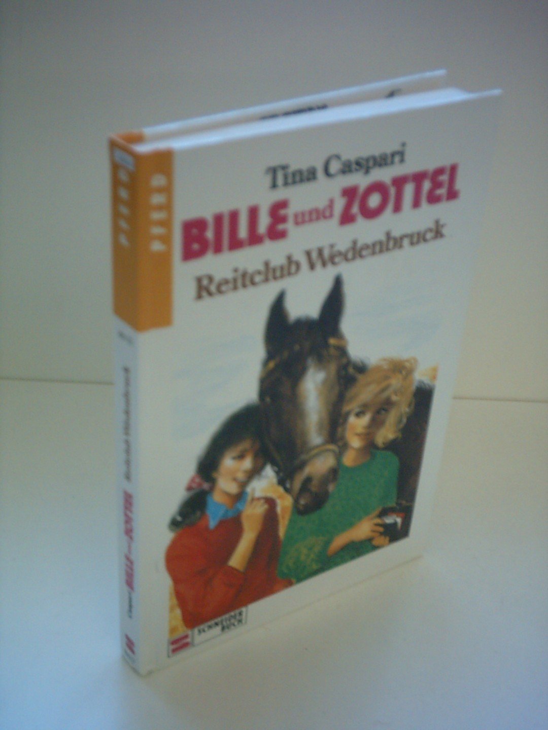 Bille und Zottel, Bd.17, Reitclub Wedenbruck Books