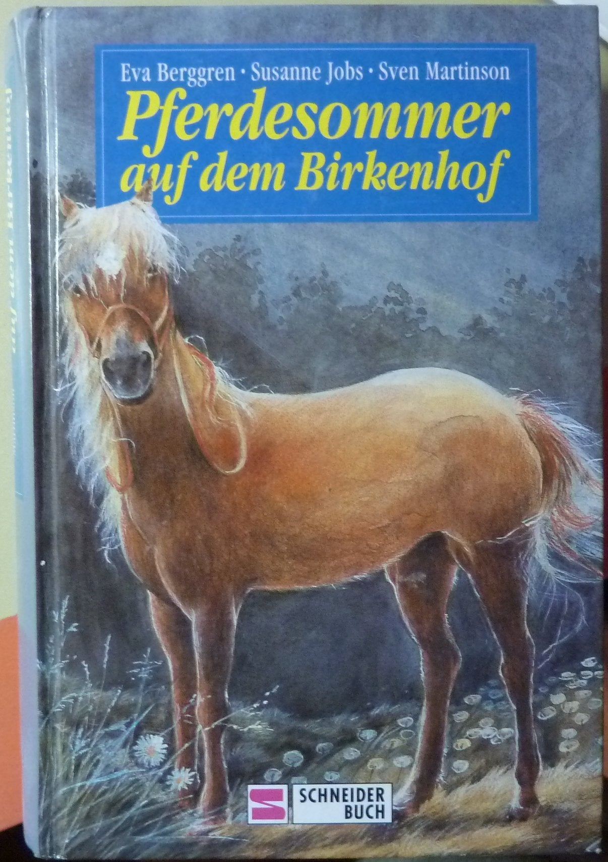 Pferdesommer auf dem Birkenhof Books