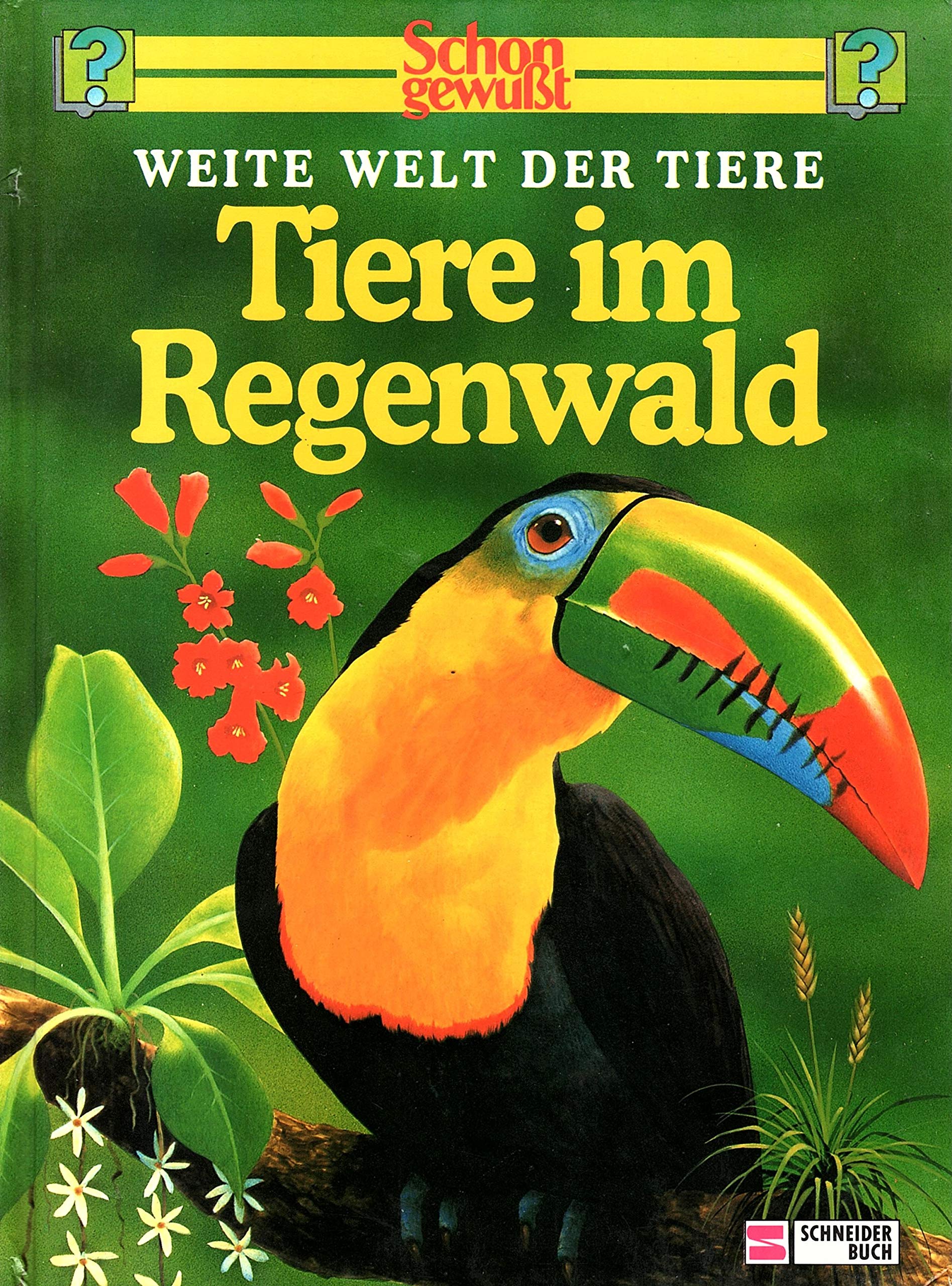 Schon gewusst. Weite Welt der Tiere / Tiere im Regenwald Parents & Children