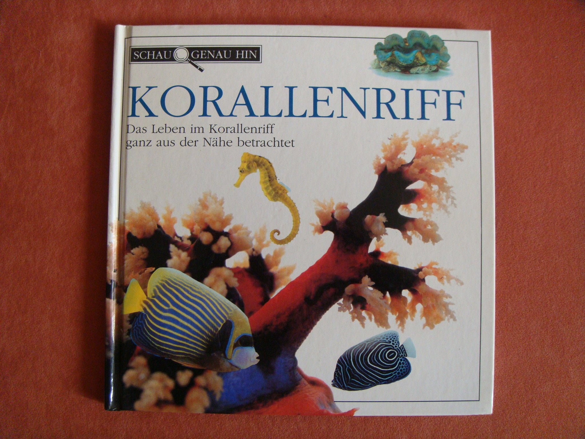 Schau genau hin / Korallenriff Books