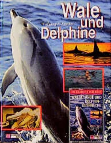 Wale und Delphine Books