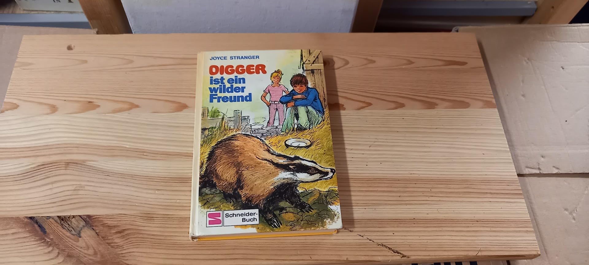 Verschwörung auf Burg Schreckenstein. Bd. 9 (Ab 10 J.) Novels & Short Stories