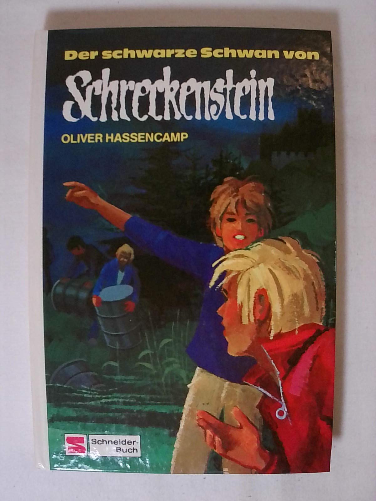 Burg Schreckenstein: Der schwarze Schwan von Schreckenstein. Bd. 20 (Ab 10 J.) Books