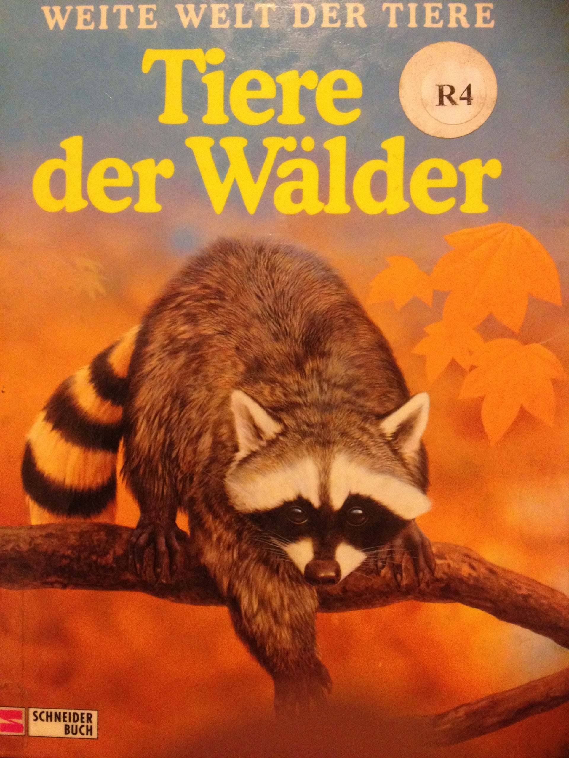 Schon gewusst. Weite Welt der Tiere / Tiere der Wälder Books