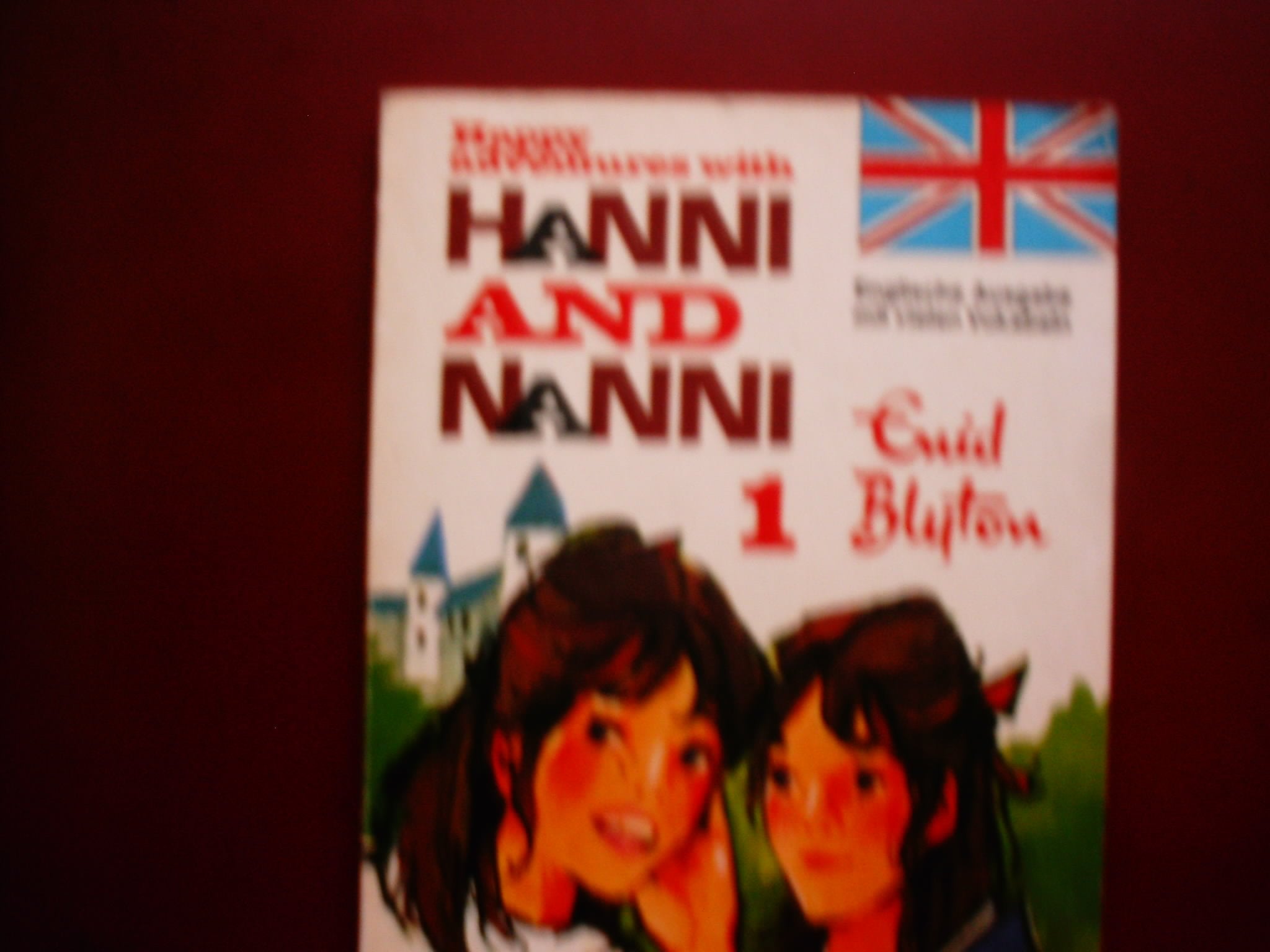 Happy Adventures with Hanni and Nanni I. Books