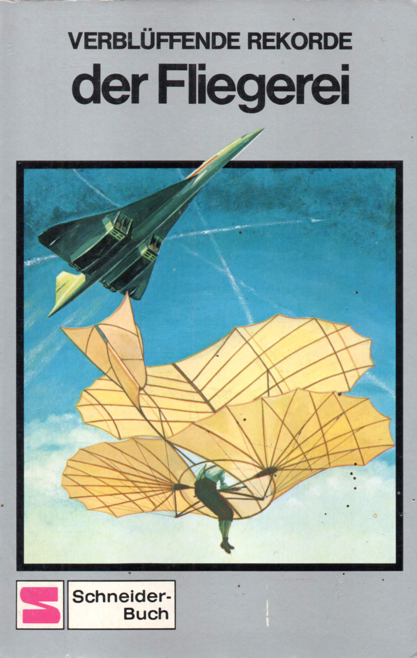 Verblüffende Rekorde der Fliegerei Books