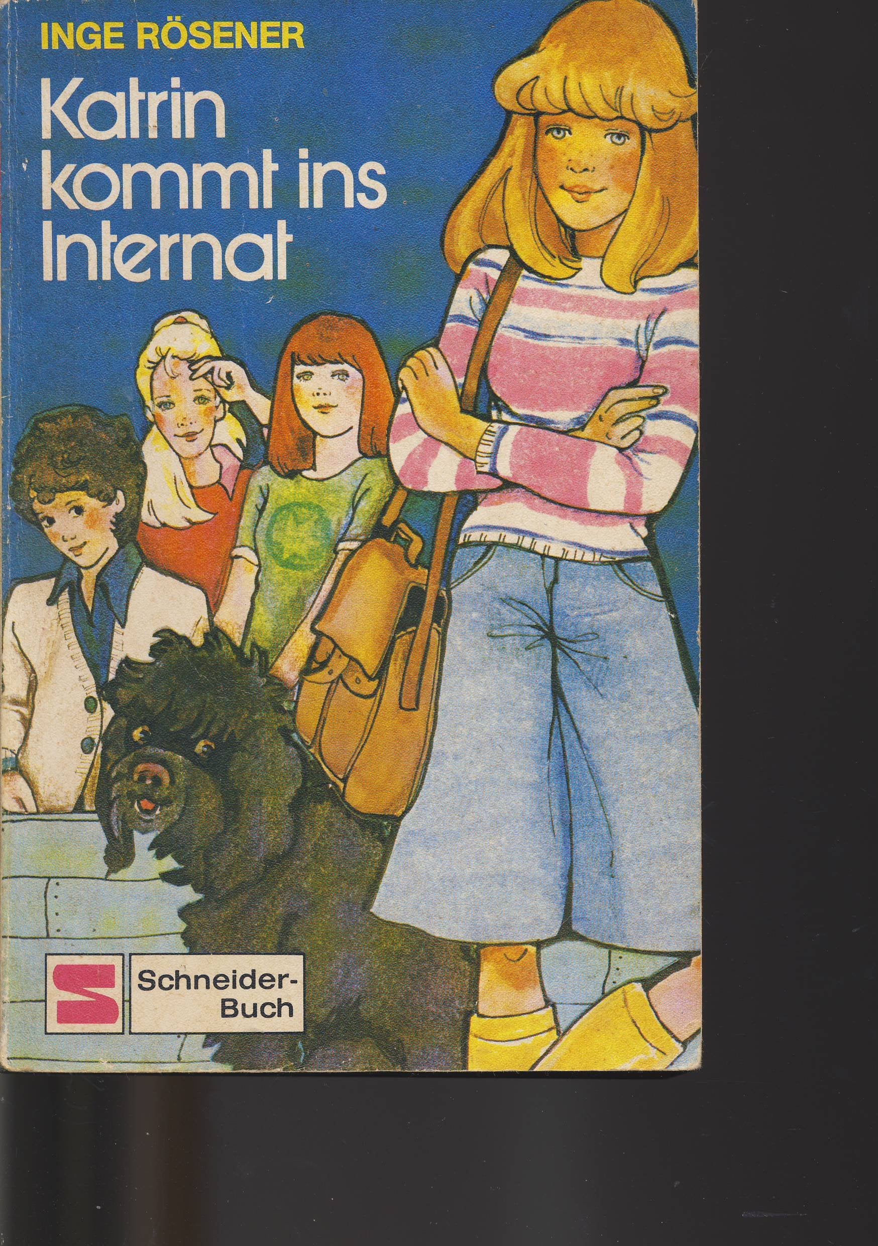 Product Image: Katrin kommt ins Internat.