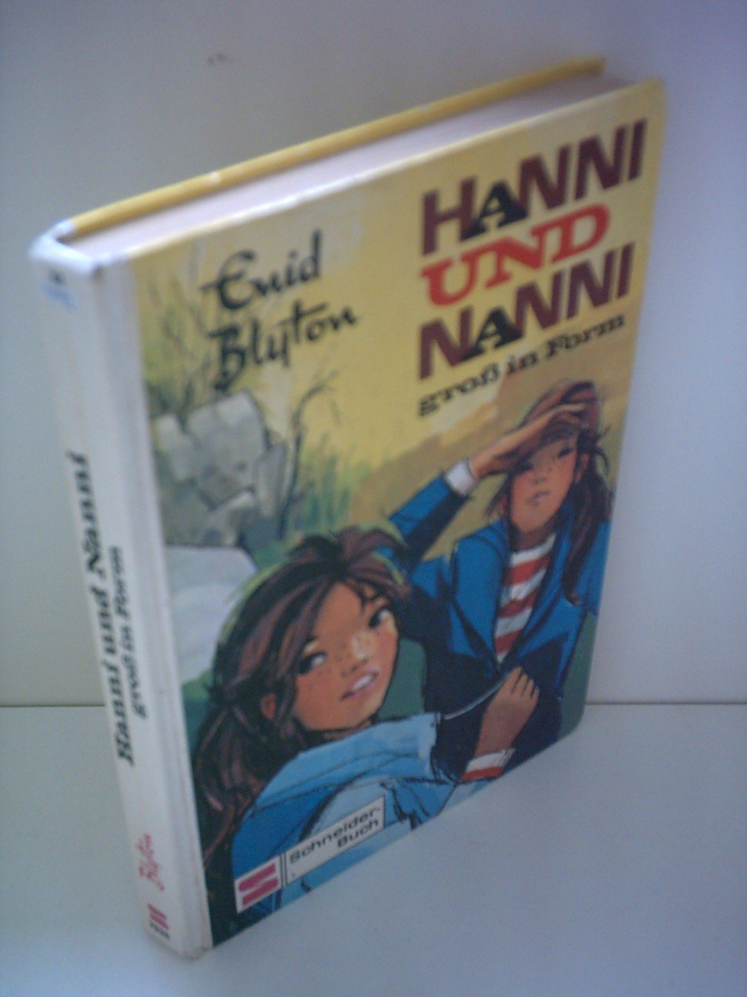 Hanni und Nanni gross in Form Books