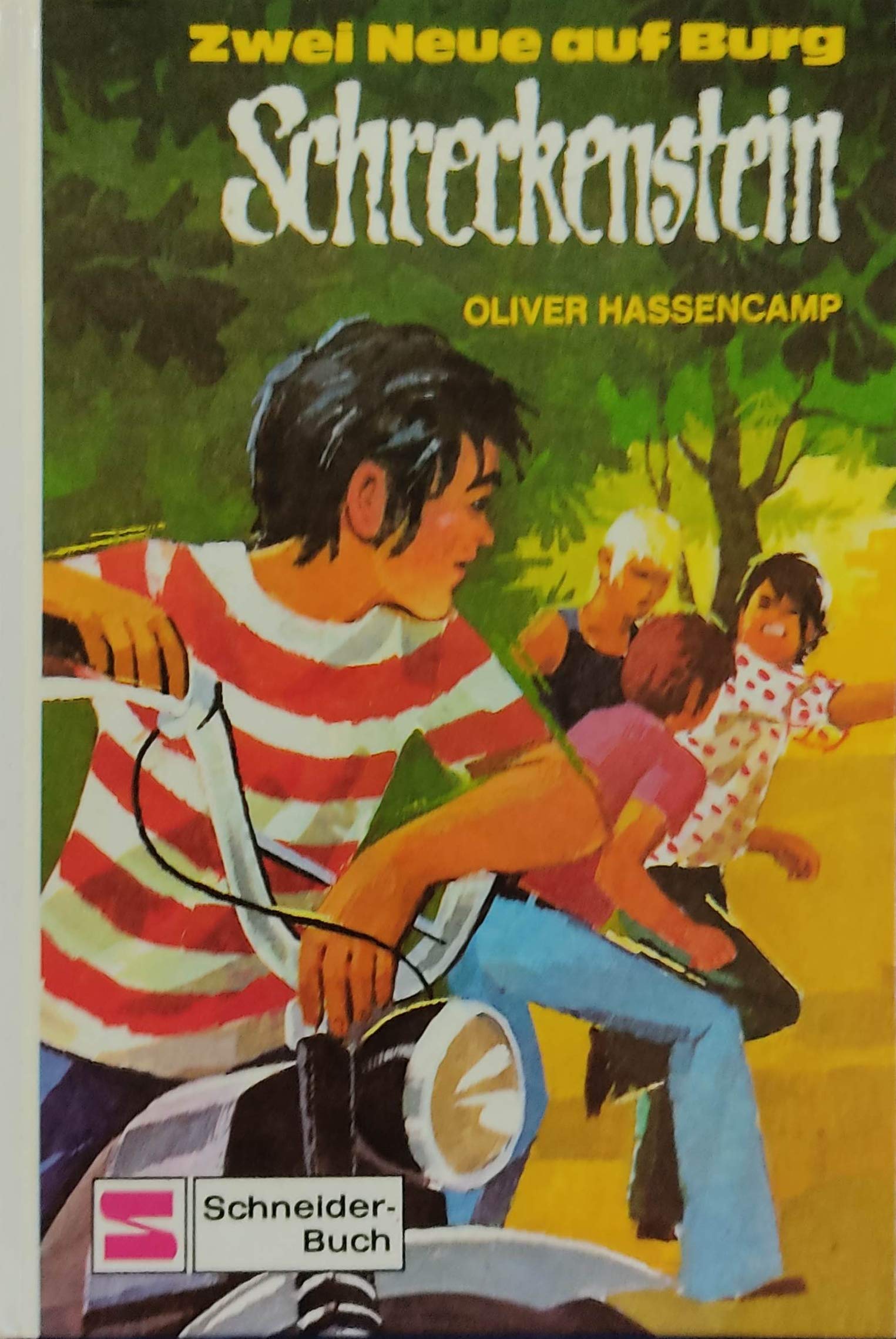 Zwei Neue auf Burg Schreckenstein. Bd. 6 Novels & Short Stories