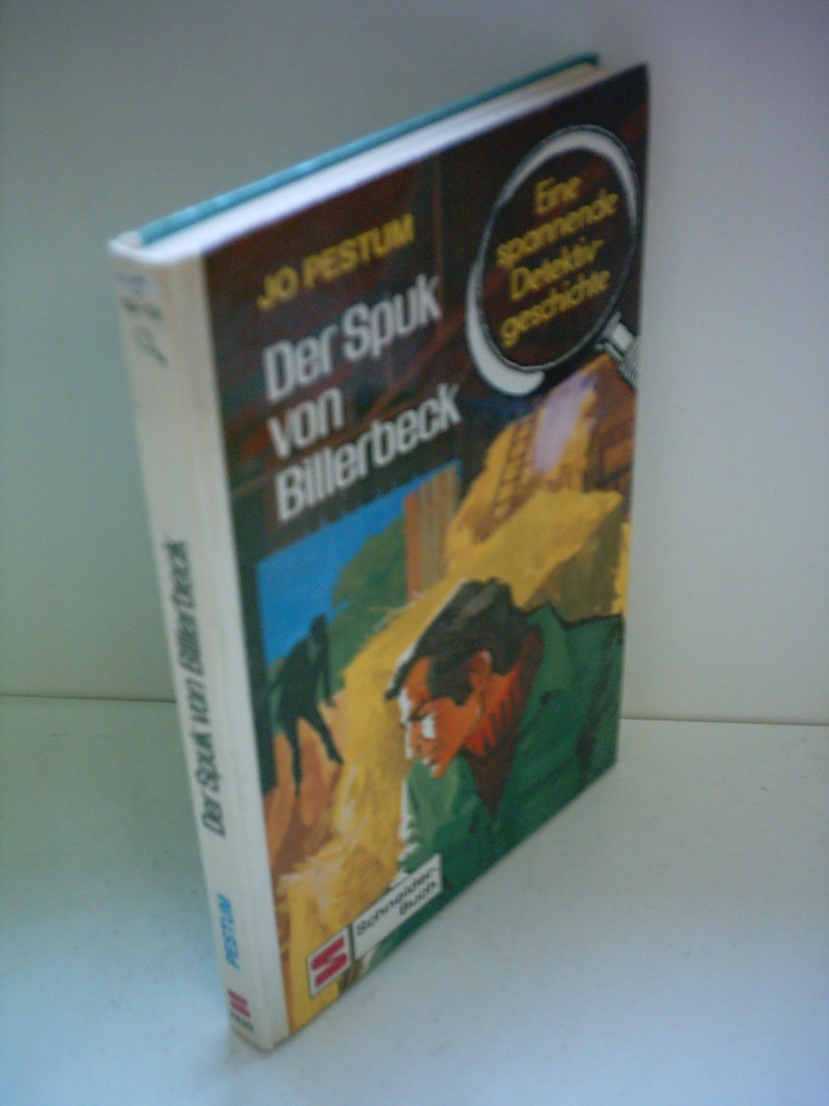 Luc Lucas / Eine spannende Detektivgeschichte: Luc Lucas / Der Spuk von Billerbeck: Eine spannende Detektivgeschichte Books