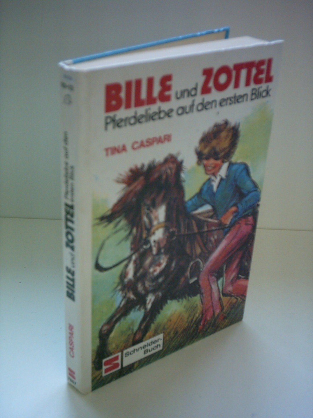Bille und Zottel, Bd.1, Pferdeliebe auf den ersten Blick Novels & Short Stories