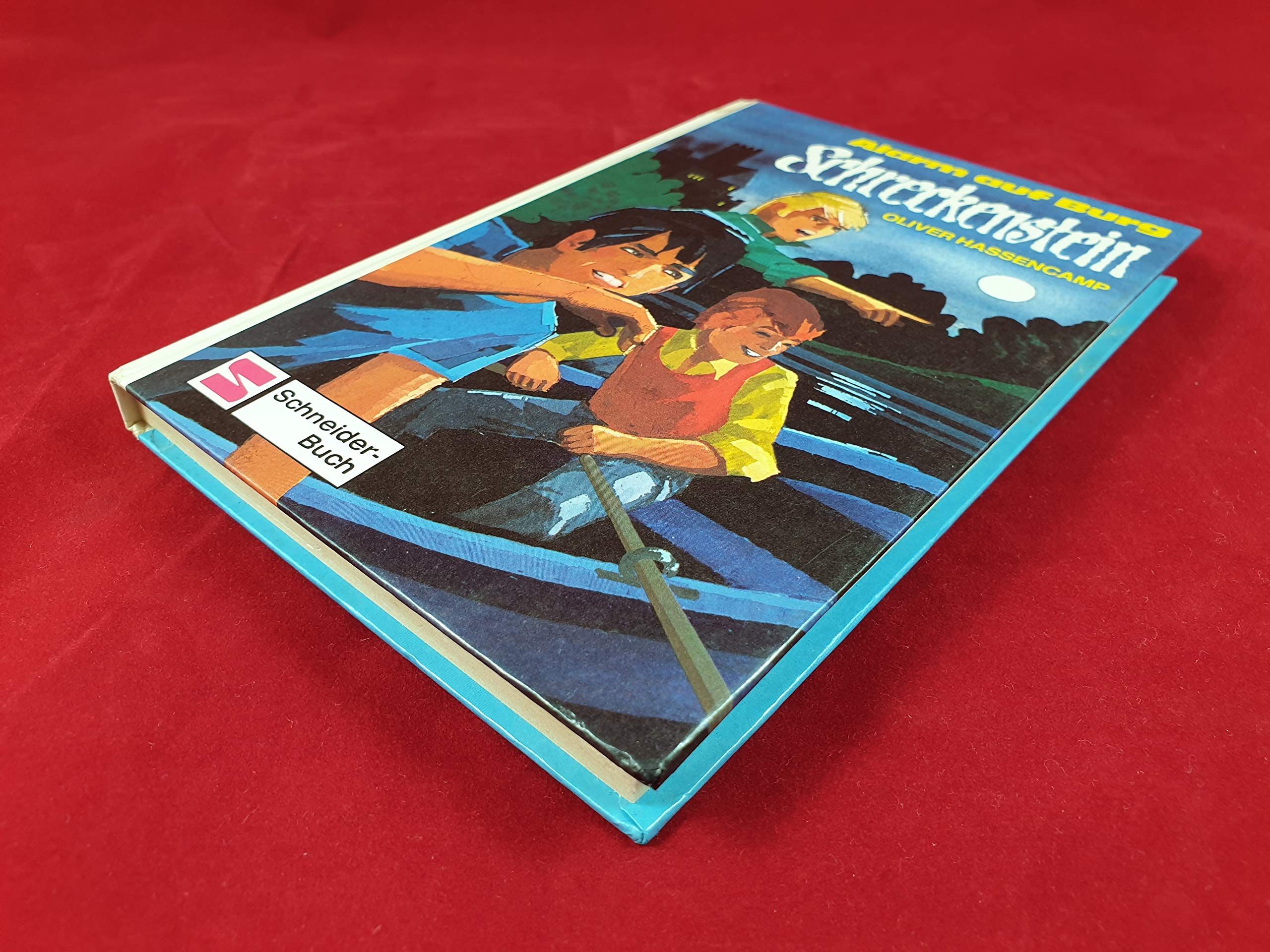 Alarm auf Burg Schreckenstein. Bd. 7 Fiction
