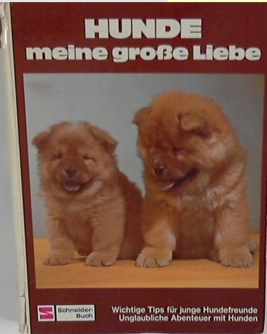 Hunde, meine große Liebe. Wichtige Tips für junge Hundefreunde Books