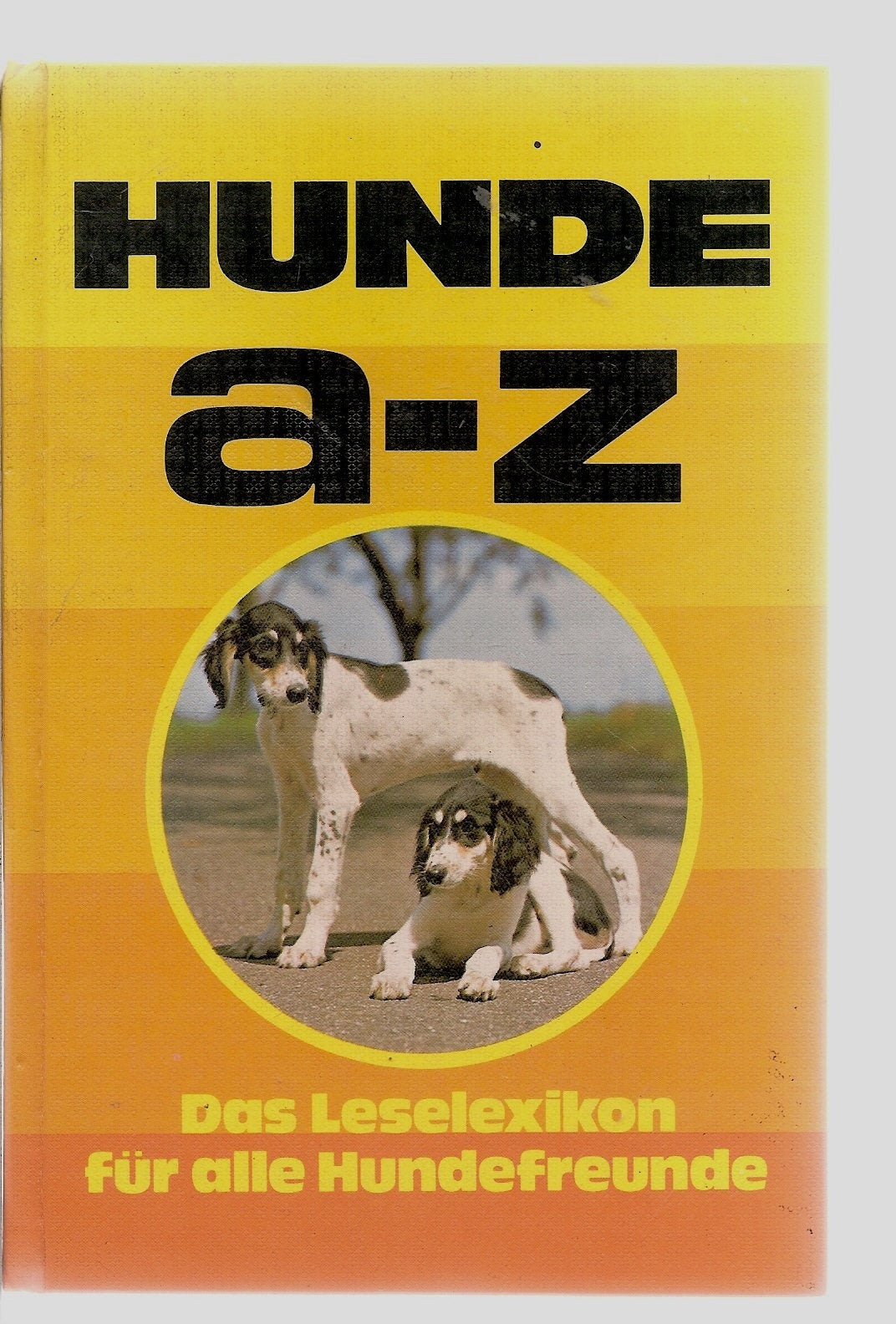 Hunde a - z: Das Leselexikon für alle Hundefreunde Learning & Reference