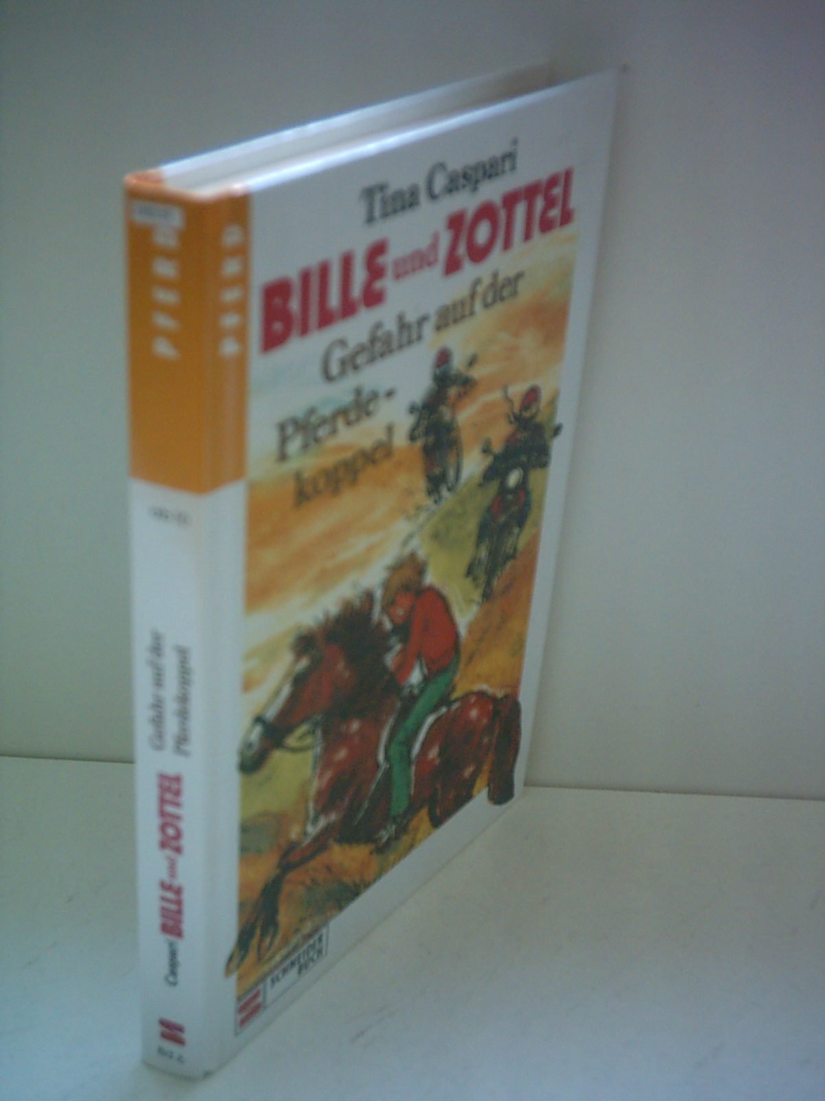 Bille und Zottel, Bd.6, Gefahr auf der Pferdekoppel Books