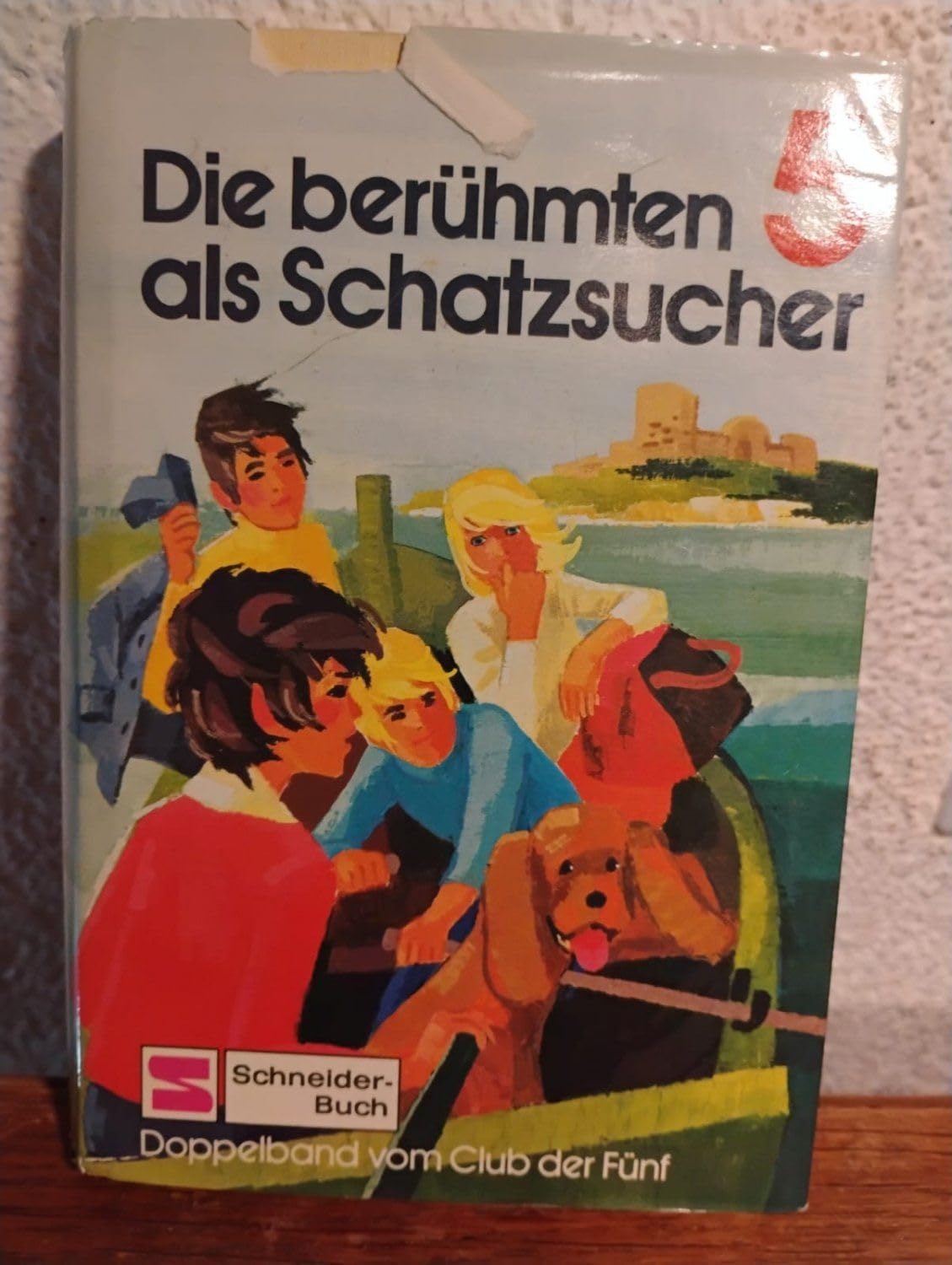 Die berühmten Fünf als Schatzsucher und in der Fledermaushöhle (Club der Fünf ; Doppelband 2) Books