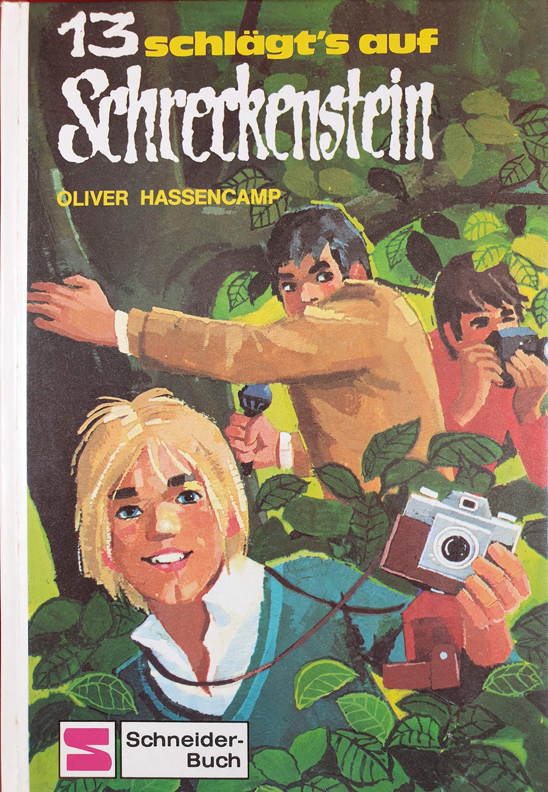 Burg Schreckenstein: Dreizehn schlägt's auf Schreckenstein. Bd 13 Books