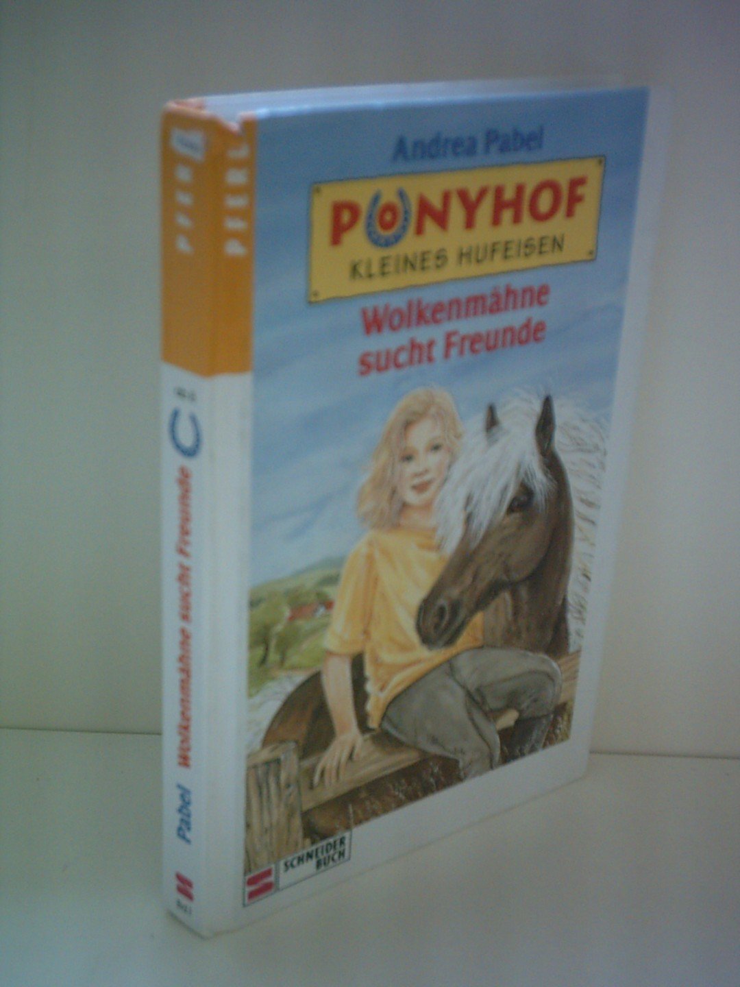 Ponyhof Kleines Hufeisen, Bd.1, Wolkenmähne sucht Freunde Novels & Short Stories