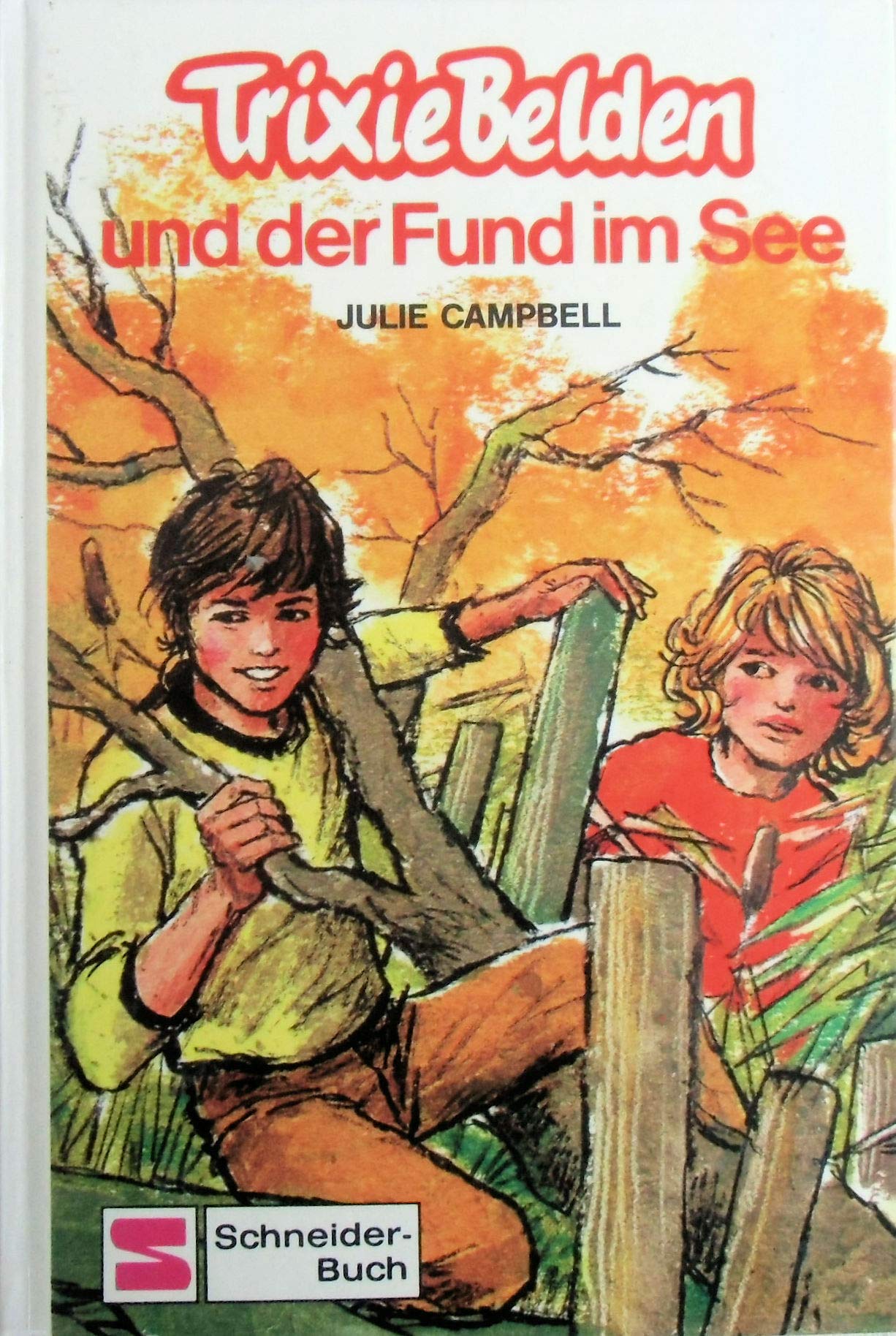 Trixie Belden und der Fund im See (Bd.16) Books
