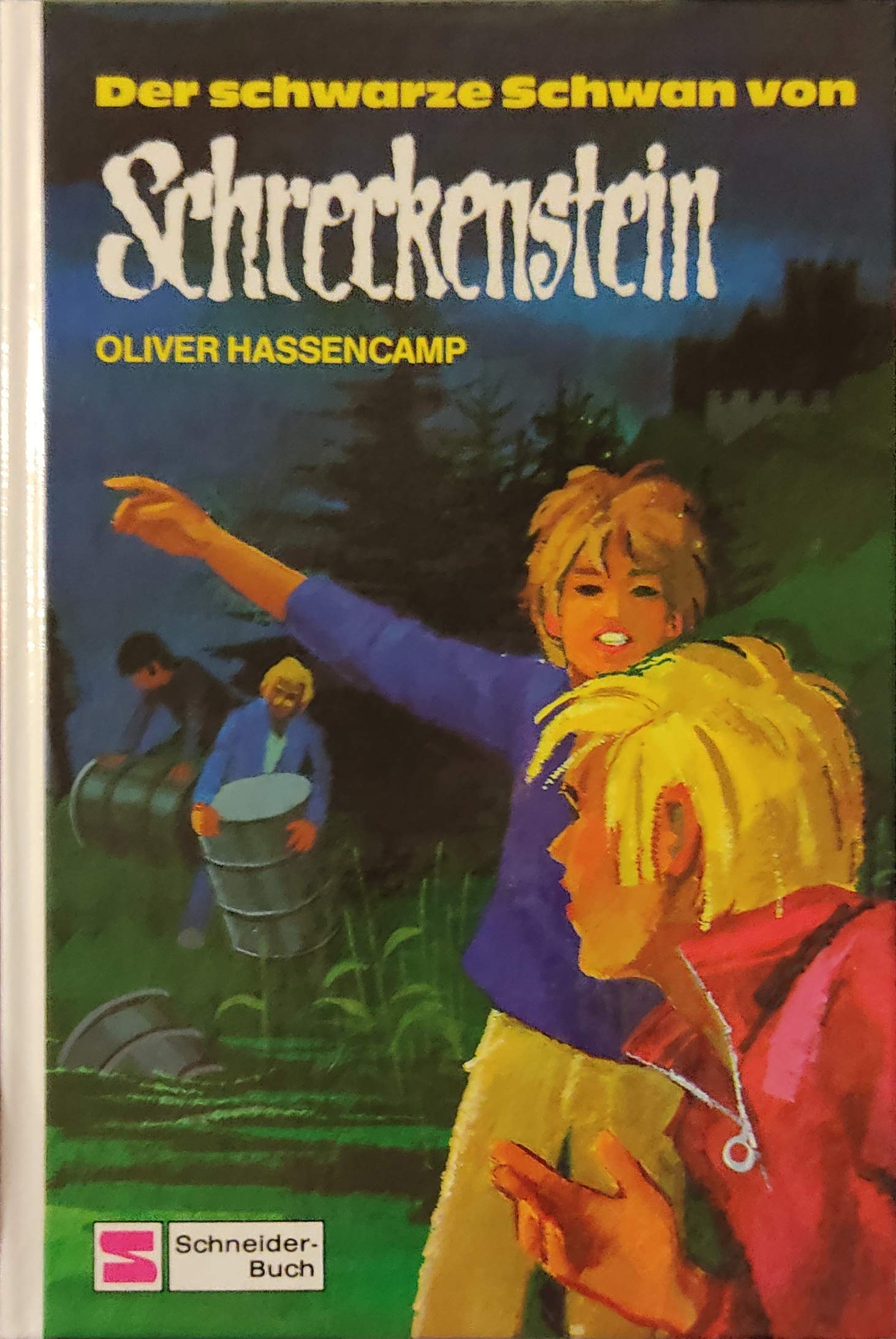 Burg Schreckenstein: Der schwarze Schwan von Schreckenstein. Bd. 20 Fiction