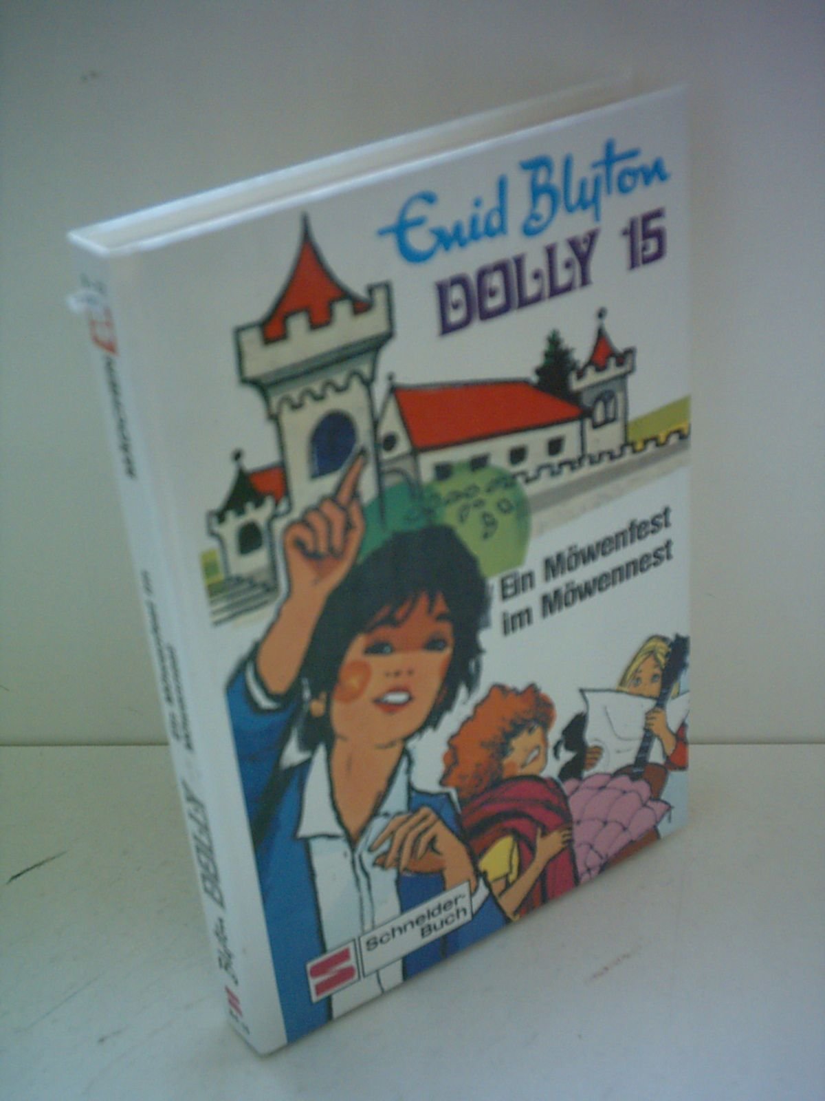 Dolly - Schulabenteuer auf der Burg: Dolly, Bd.15, Ein Möwenfest im Möwennest Novels & Short Stories