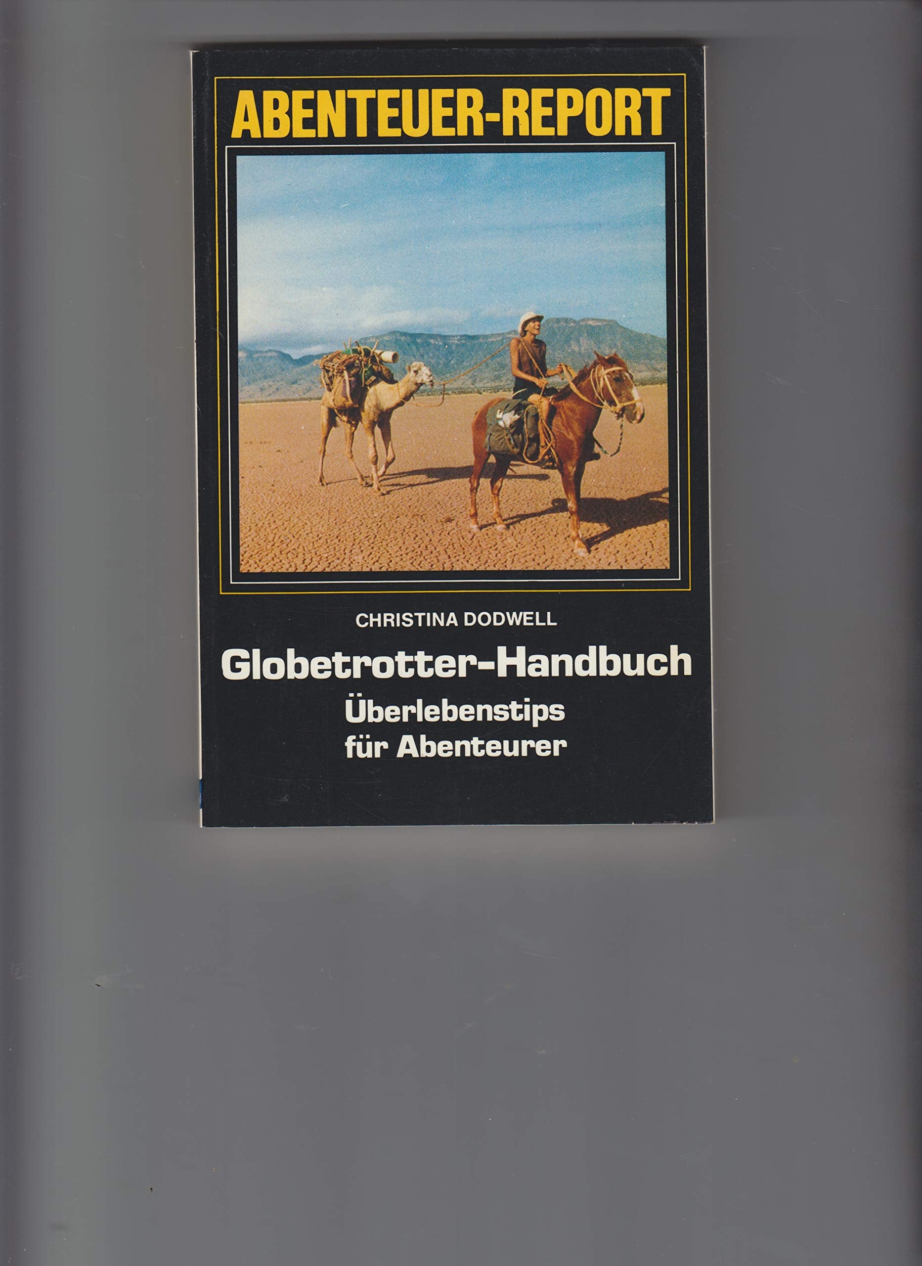Globetrotter-Handbuch: Überlebenstips für Abenteurer Travel