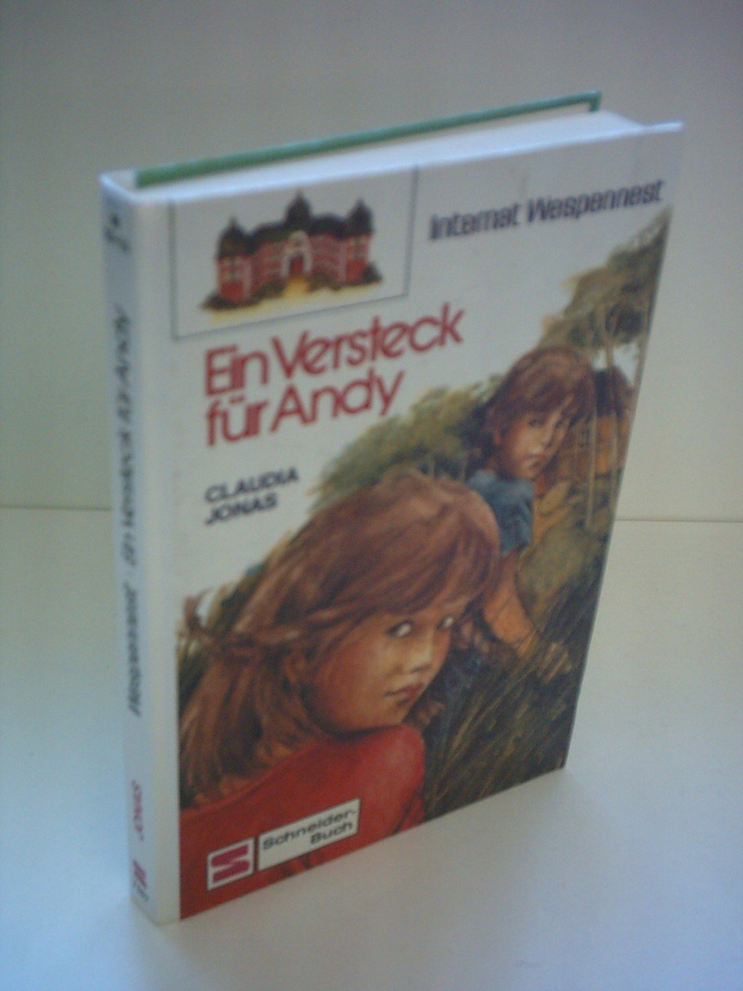Claudia Jonas: Internat Wespennest: Ein Versteck für Andy Books