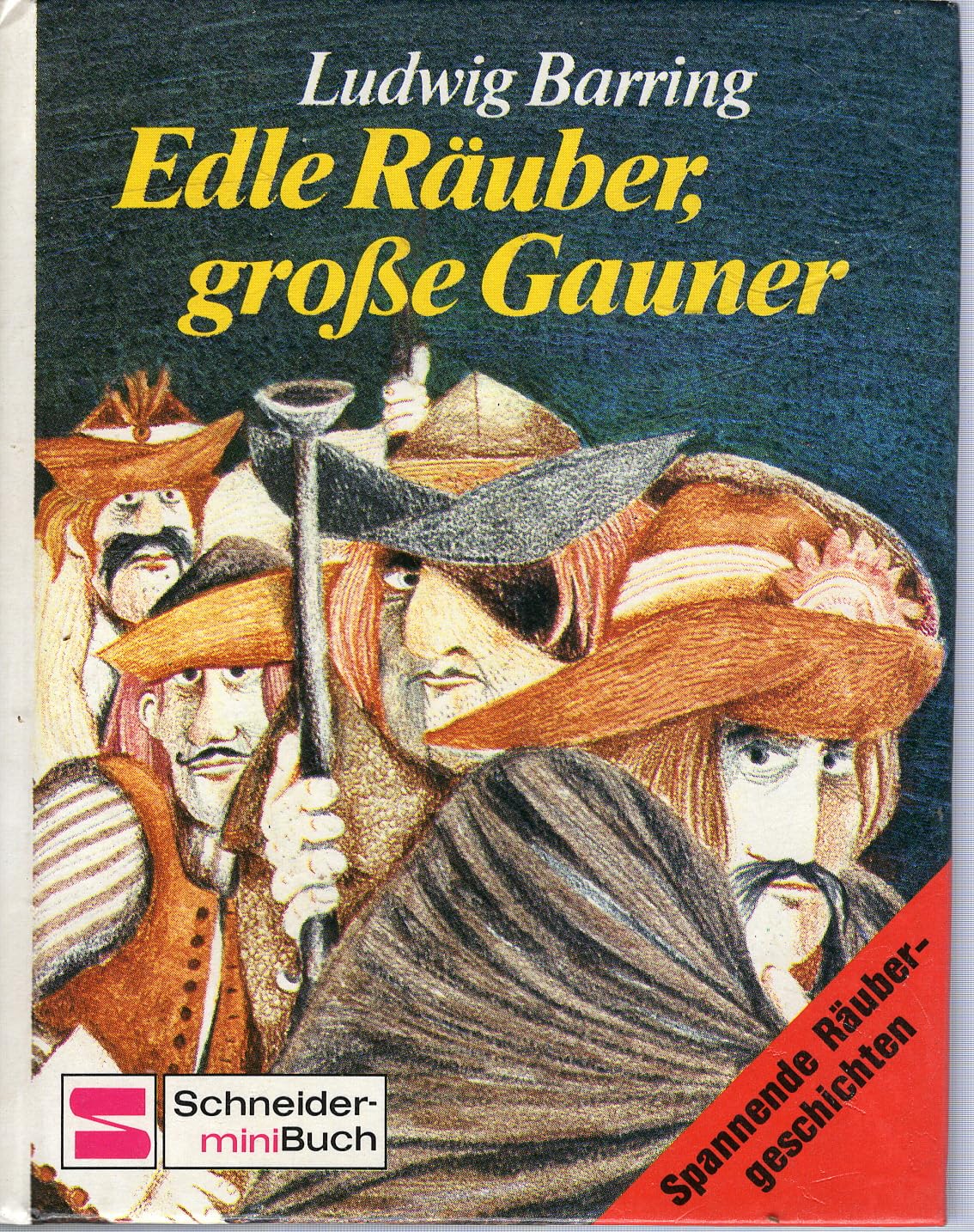 Edle Räuber, grosse Gauner : Sieben spannende Räubergeschichten Books