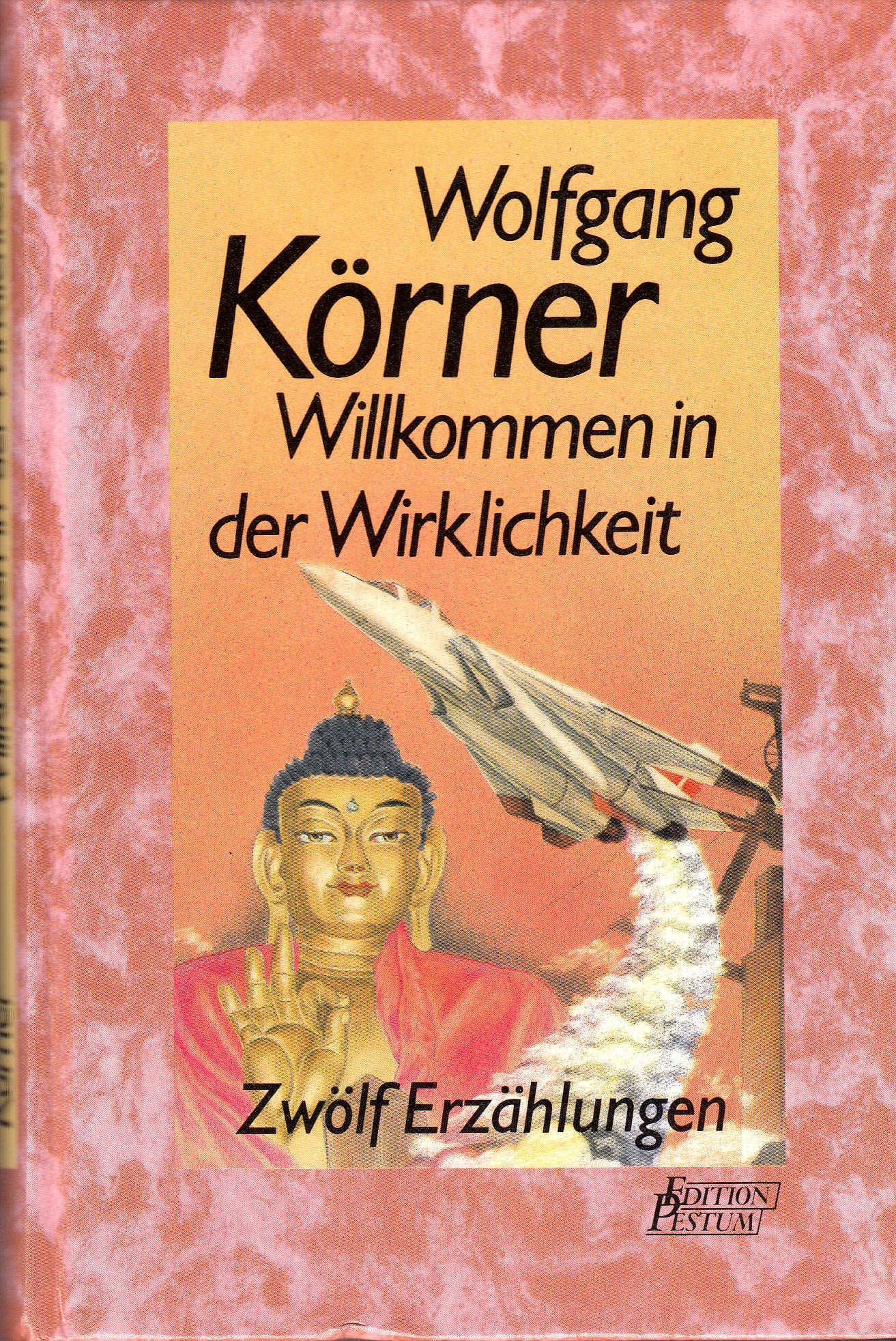 Willkommen in der Wirklichkeit: Zwölf Erzählungen Books