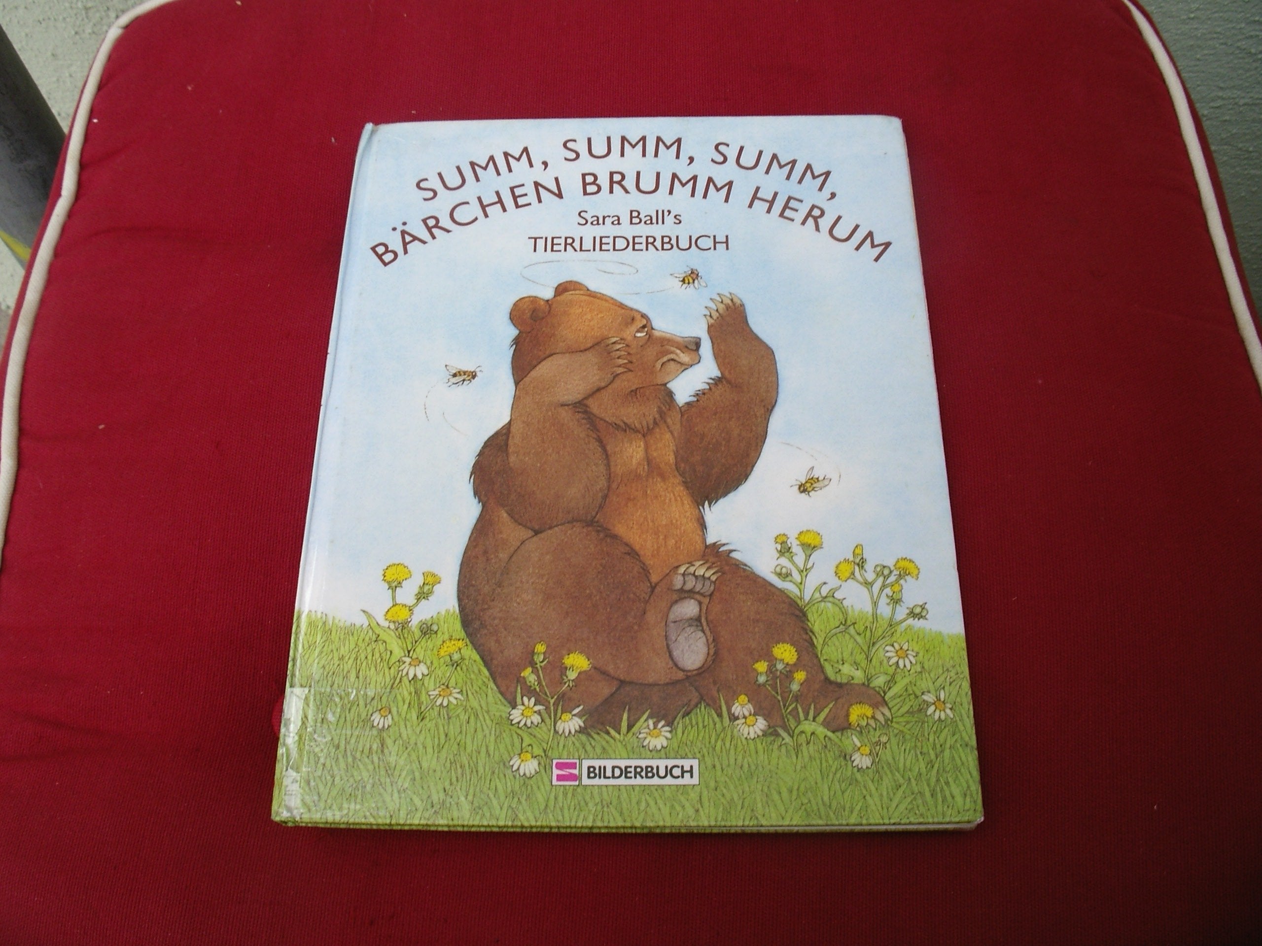 Summ, summ, summ, Bärchen brumm herum: Sara Balls Tierliederbuch Books