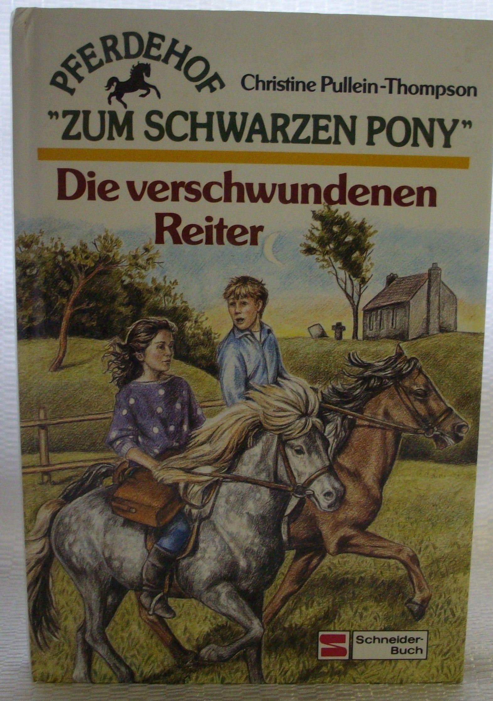 Pferdehof "Zum schwarzen Pony" / Die verschwundenen Reiter Books