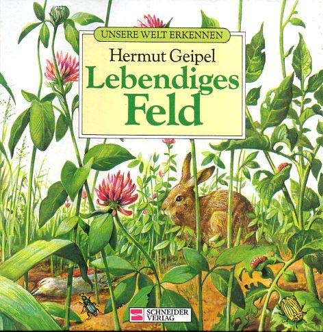 Unsere Welt erkennen / Lebendiges Feld Books