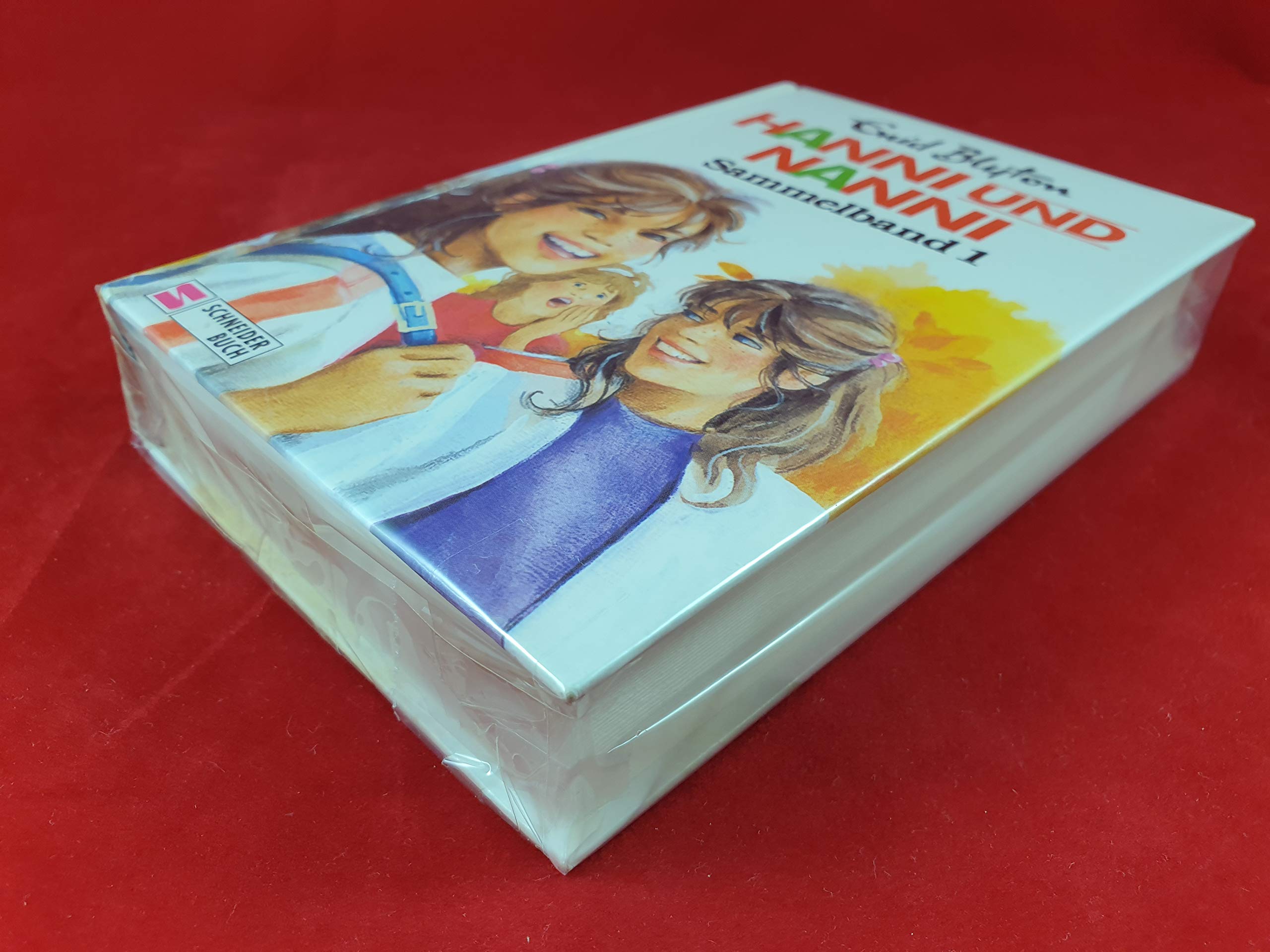 Hanni und Nanni: Sammelband 1 Novels & Short Stories