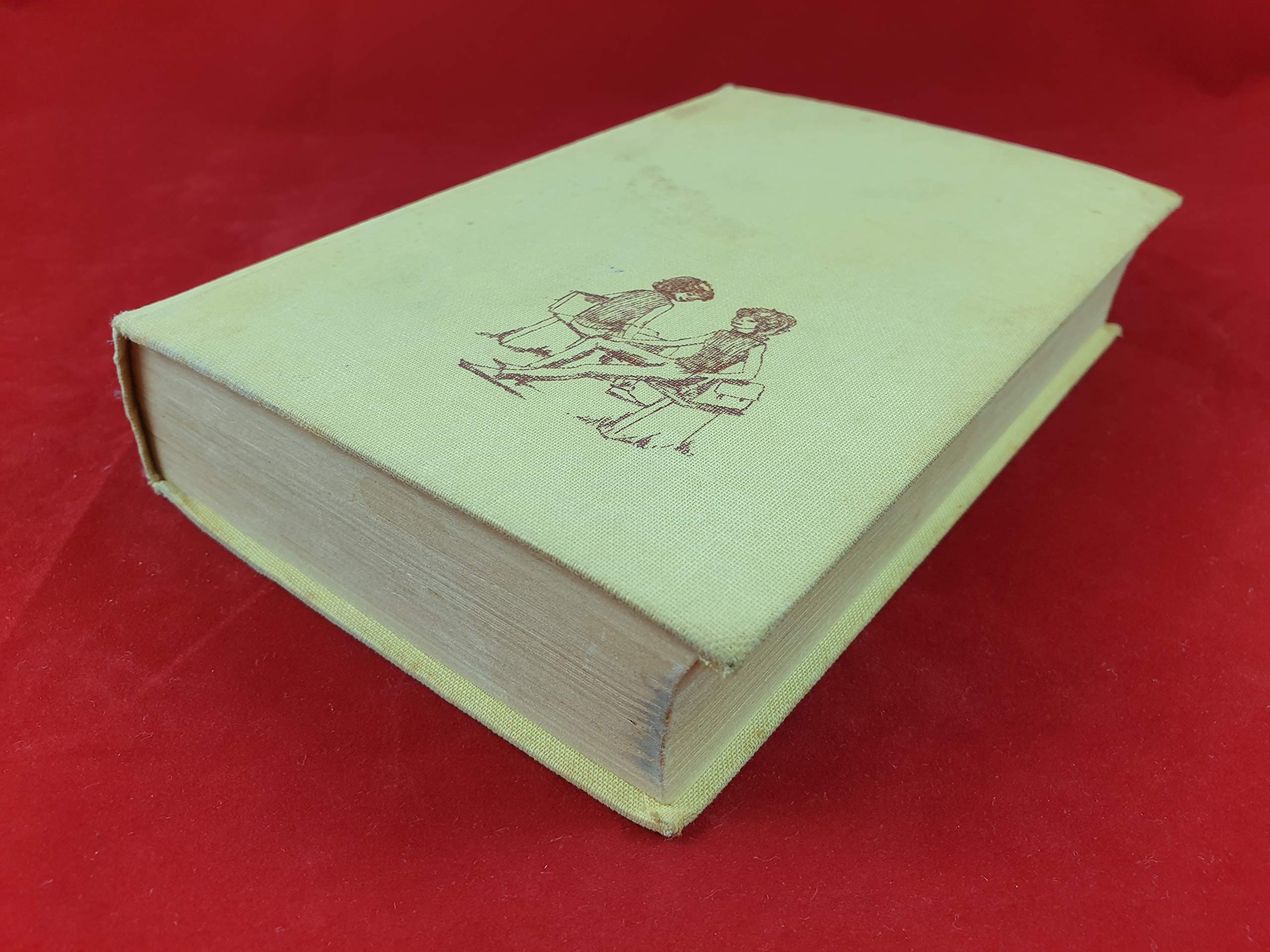 Hanni und Nanni: Sammelband 2 Books